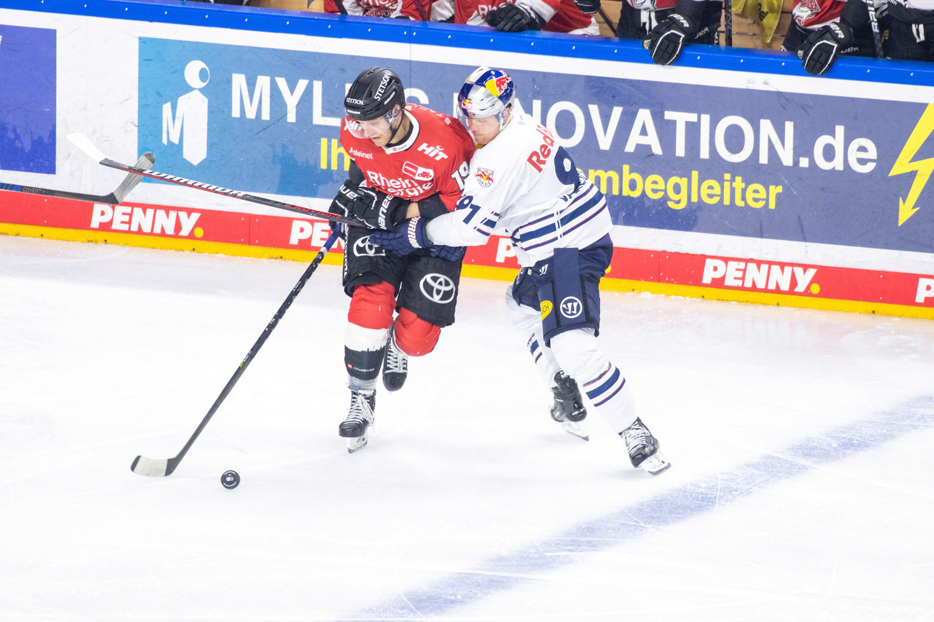 Frederik Storm im Zweikampf mit Filip Varejcka; DEL Kölner Haie - EHC Red Bull München, 27.10.2023