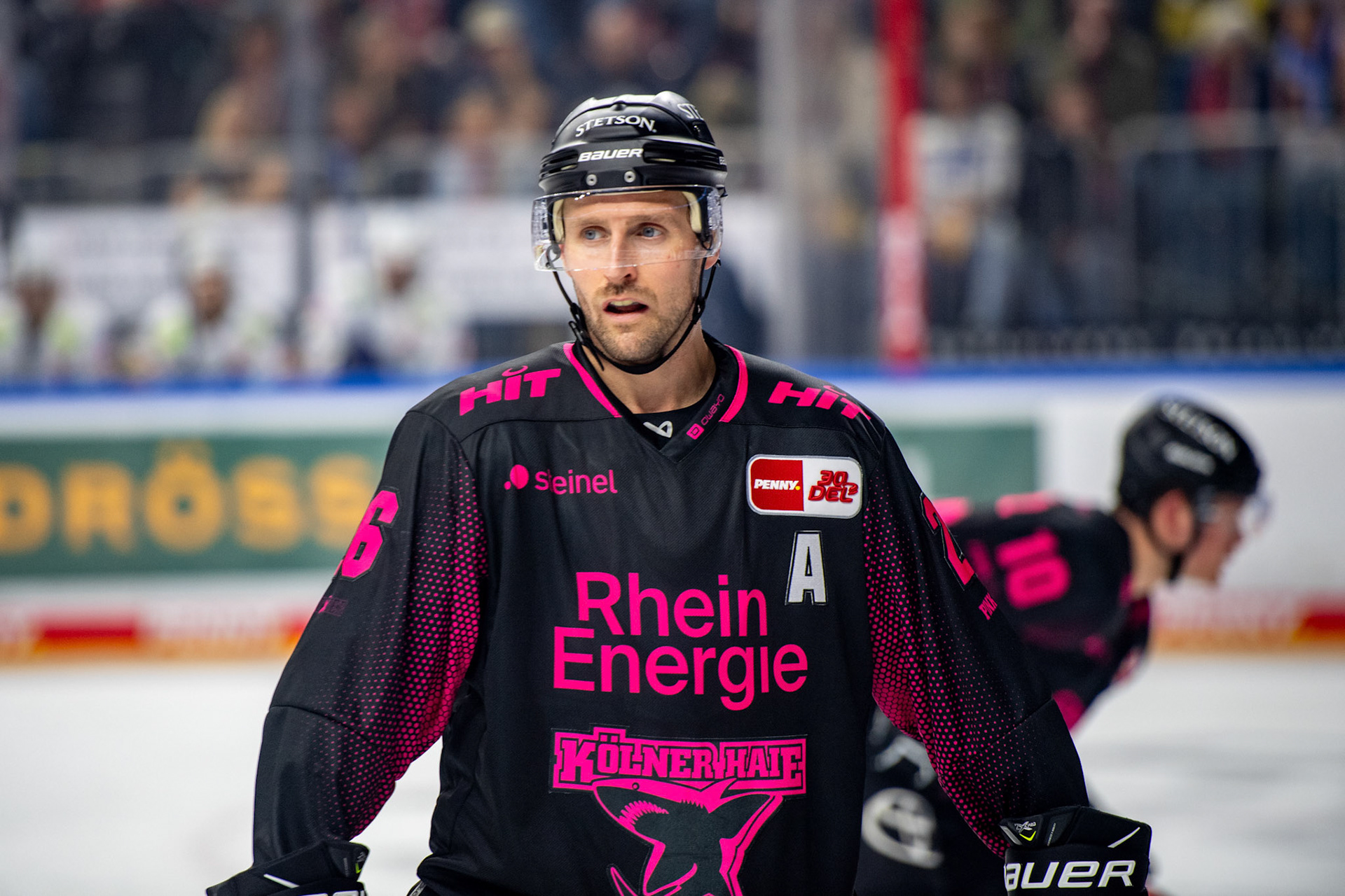 David Mcintyre; DEL Kölner Haie - Eisbaeren Berlin, 06.10.2023