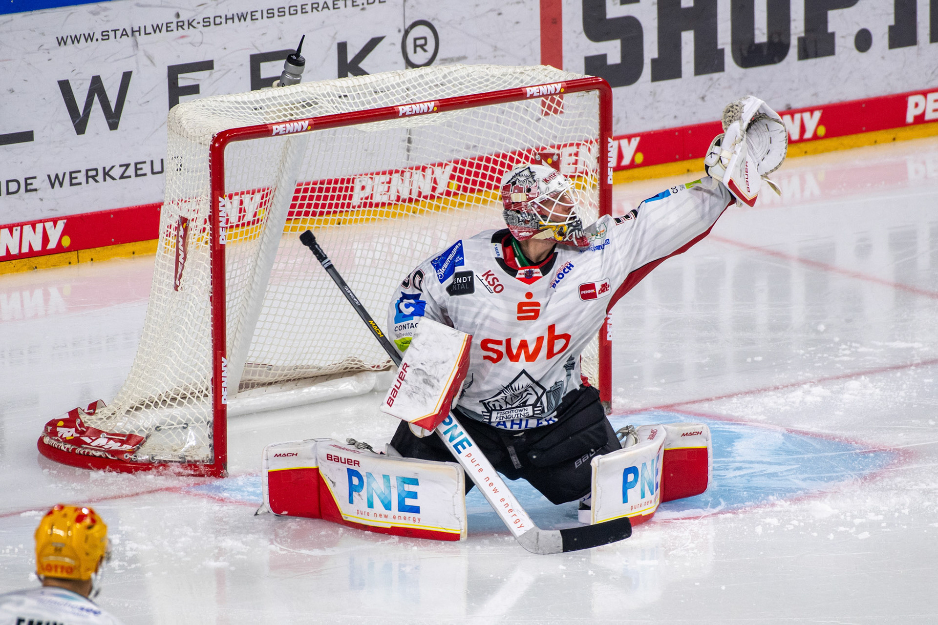 Kristers Gudlevskis; DEL Kölner Haie - Bremerhaven Fischtown Pinguins, 01.11.2023