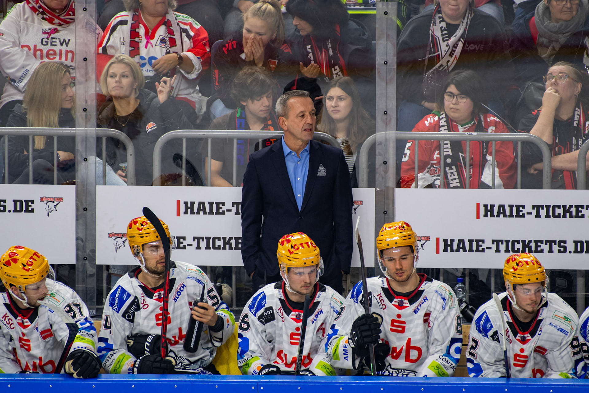 Thomas Popiesch; DEL Kölner Haie - Bremerhaven Fischtown Pinguins, 01.11.2023