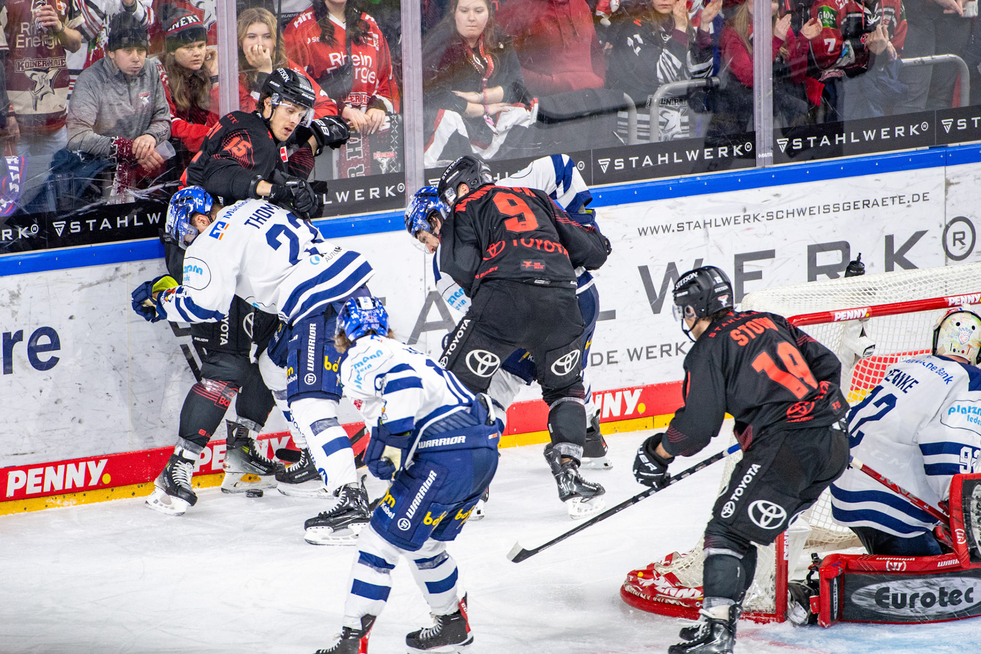 Maximilian Kammerer, Frederik Storm, Louis Marc Aubry und Ben Thomas kämpfen um den Puck; DEL Kölner Haie - Iserlohn Roosters, 13.02.2024