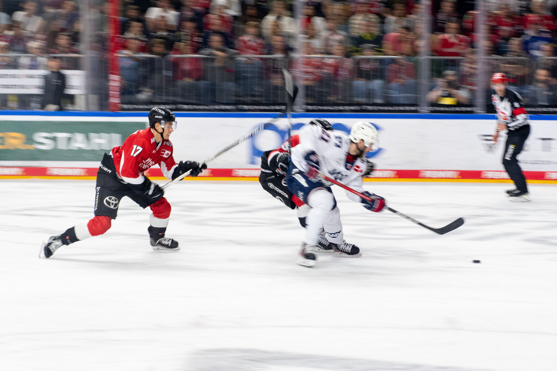 Koelner Haie; DEL Kölner Haie - Adler Mannheim, 30.09.2023