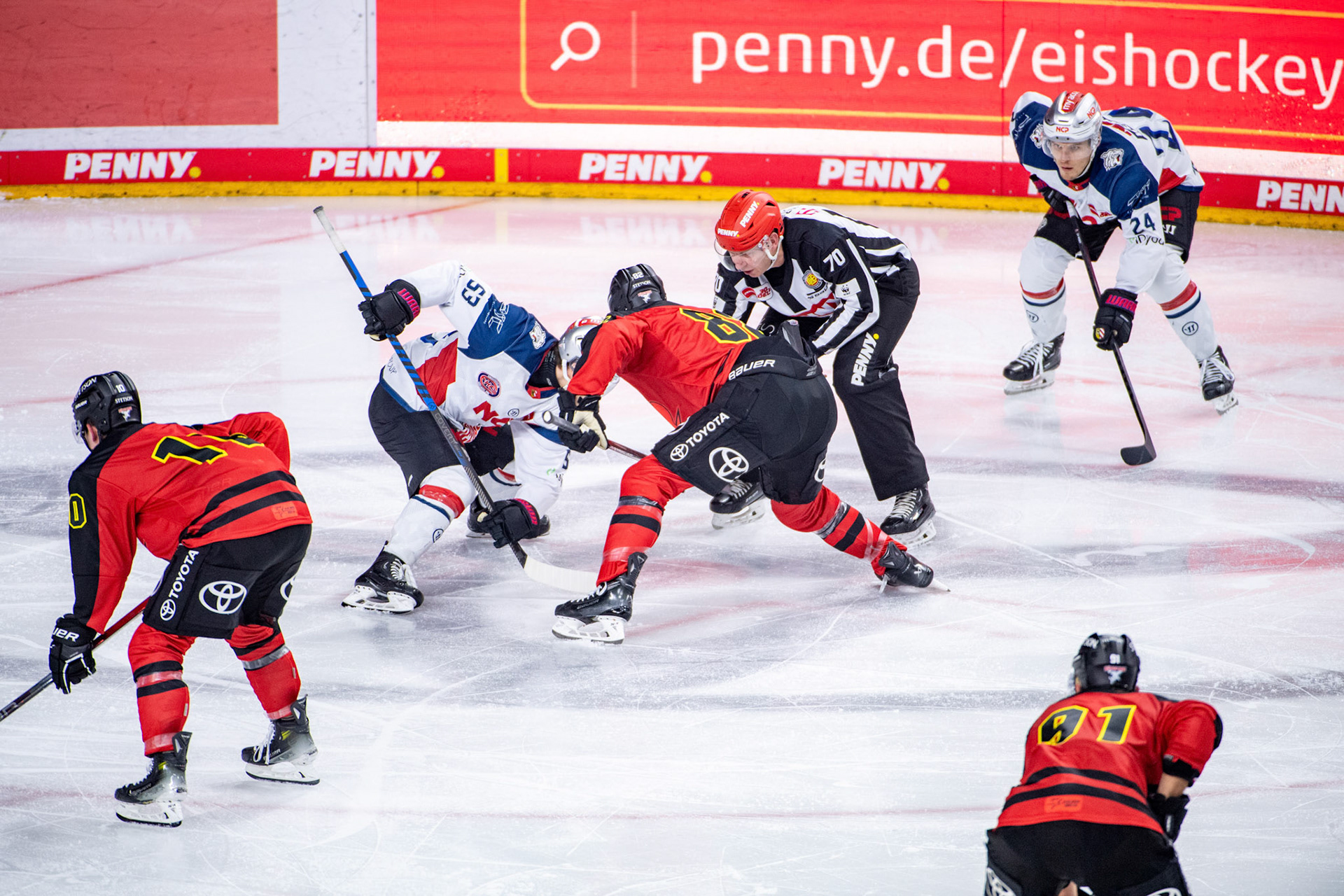 Koelner Haie; DEL Kölner Haie - Nürnberg Ice Tigers, 17.12.2023