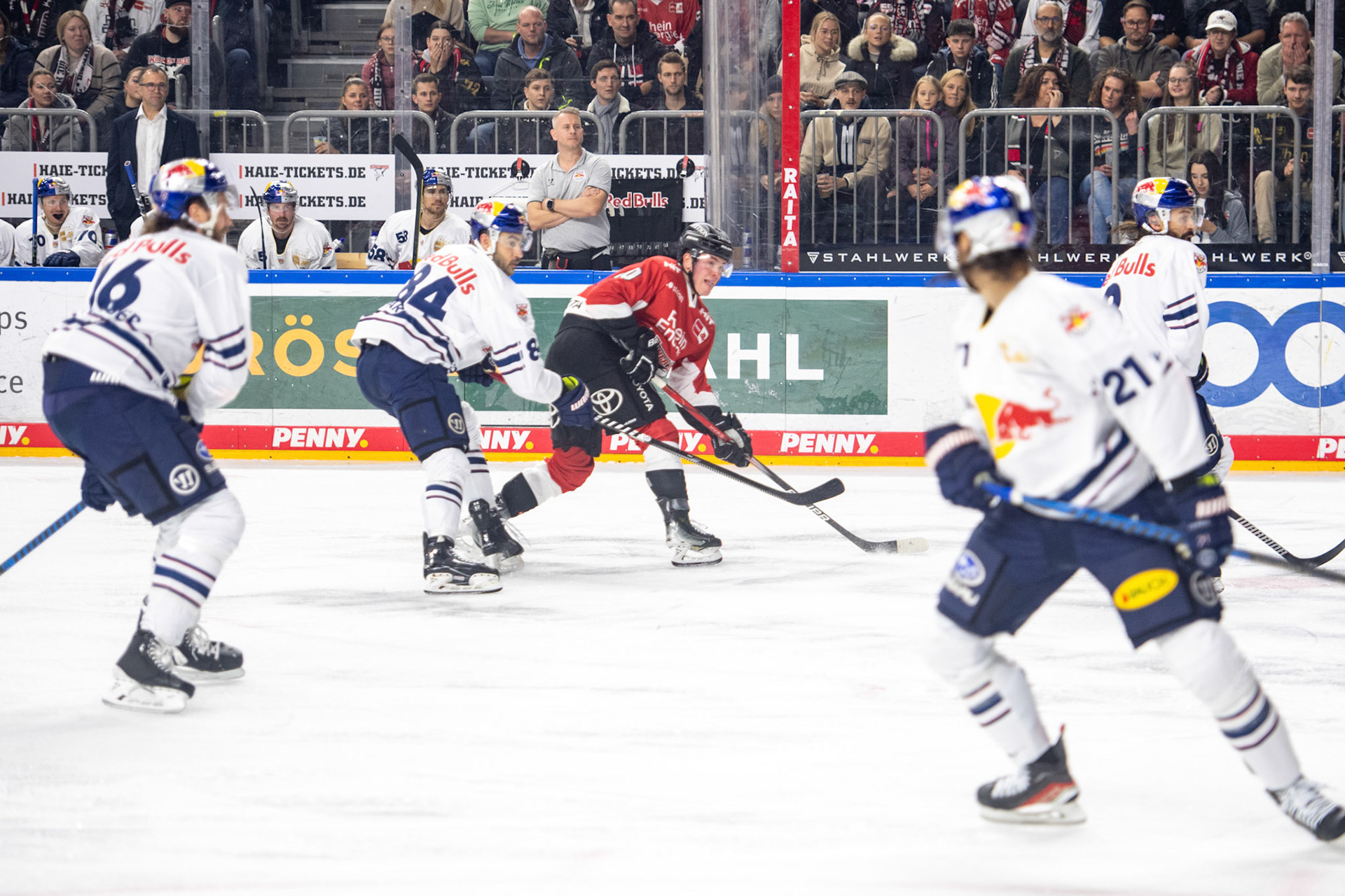 Justin Schuetz; DEL Kölner Haie - EHC Red Bull München, 27.10.2023