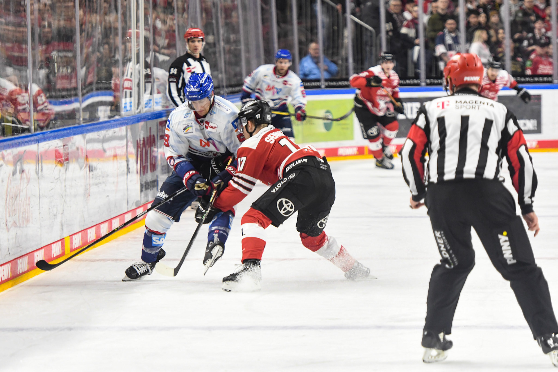 Jan Luca Sennhenn; DEL Kölner Haie - Adler Mannheim, 17.03.2023