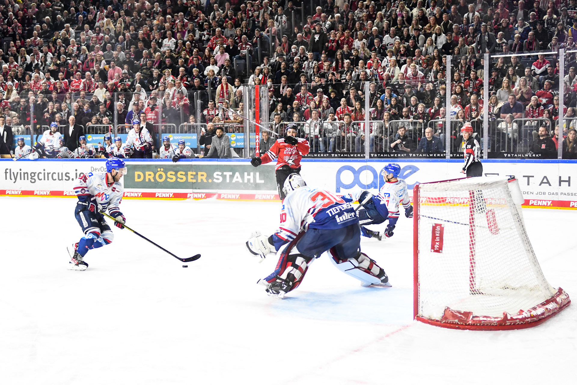 Sinan Akdag; DEL Kölner Haie - Adler Mannheim, 17.03.2023