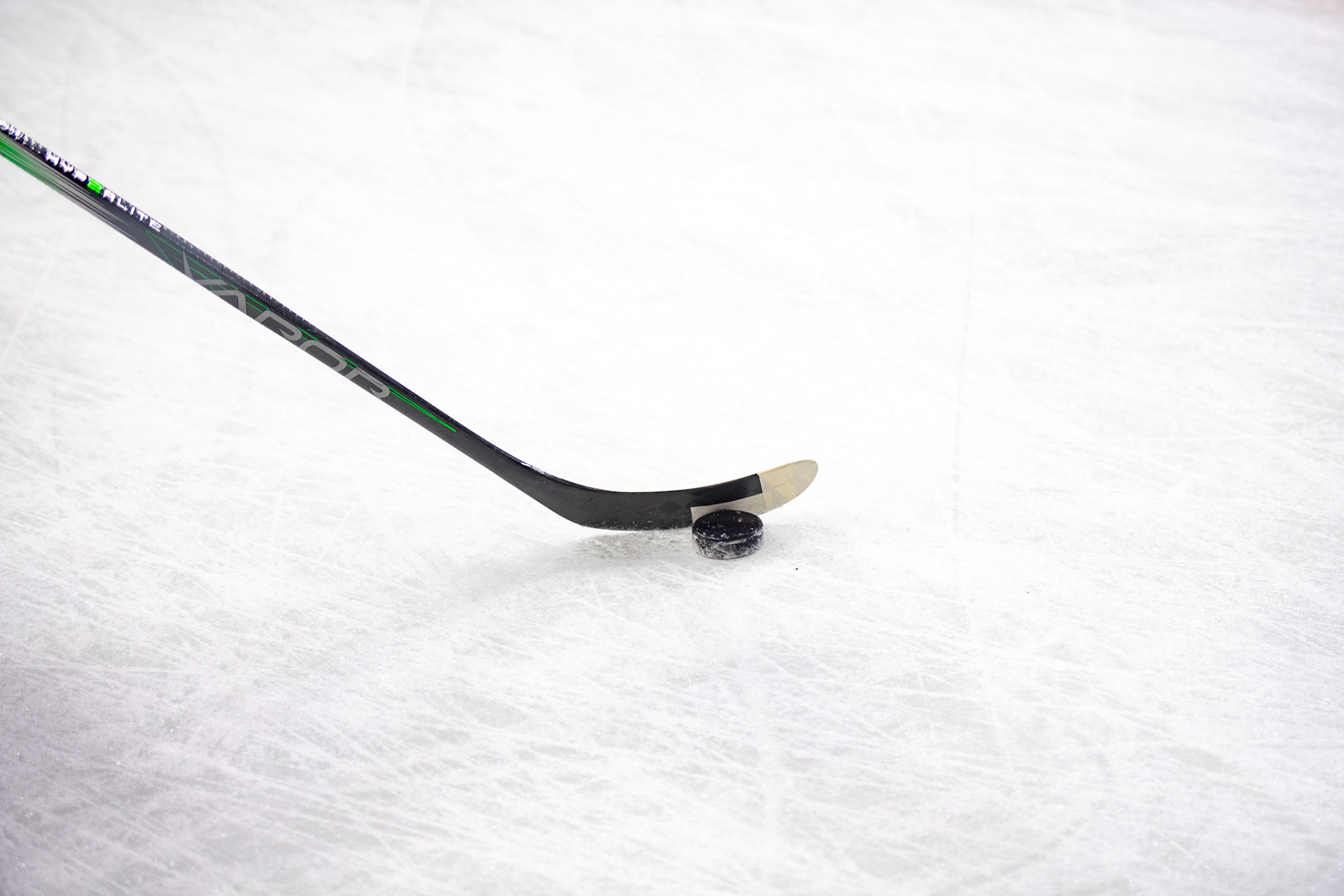 Puk; DEL Kölner Haie - Augsburger Panther, 19.11.2023