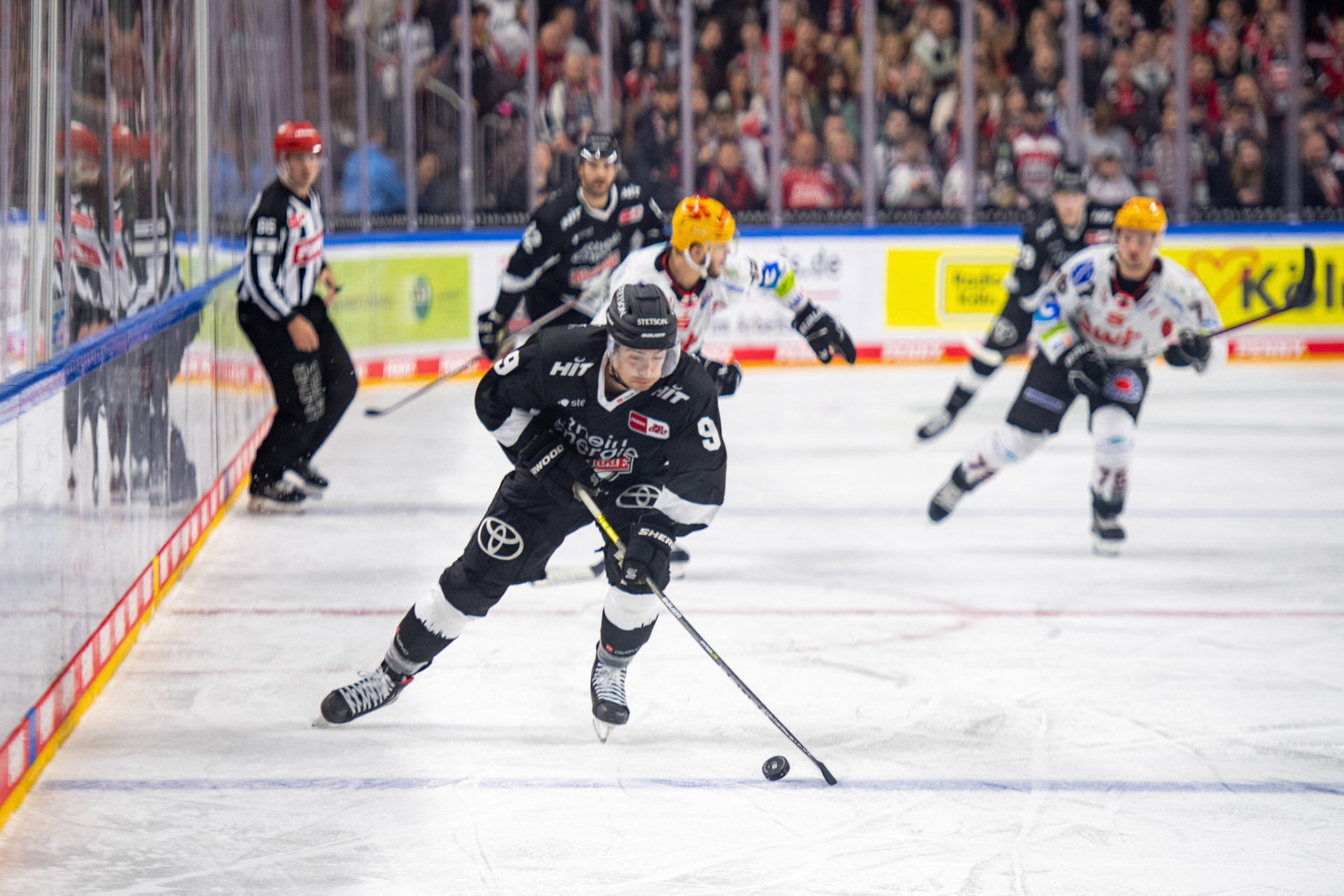 Maximilian Kammerer; DEL Kölner Haie - Bremerhaven Fischtown Pinguins, 01.11.2023