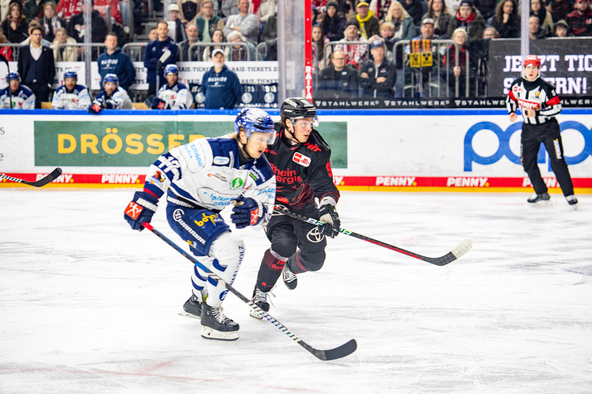Hakon Hänelt, Emil Quaas; DEL Kölner Haie - Iserlohn Roosters, 13.02.2024