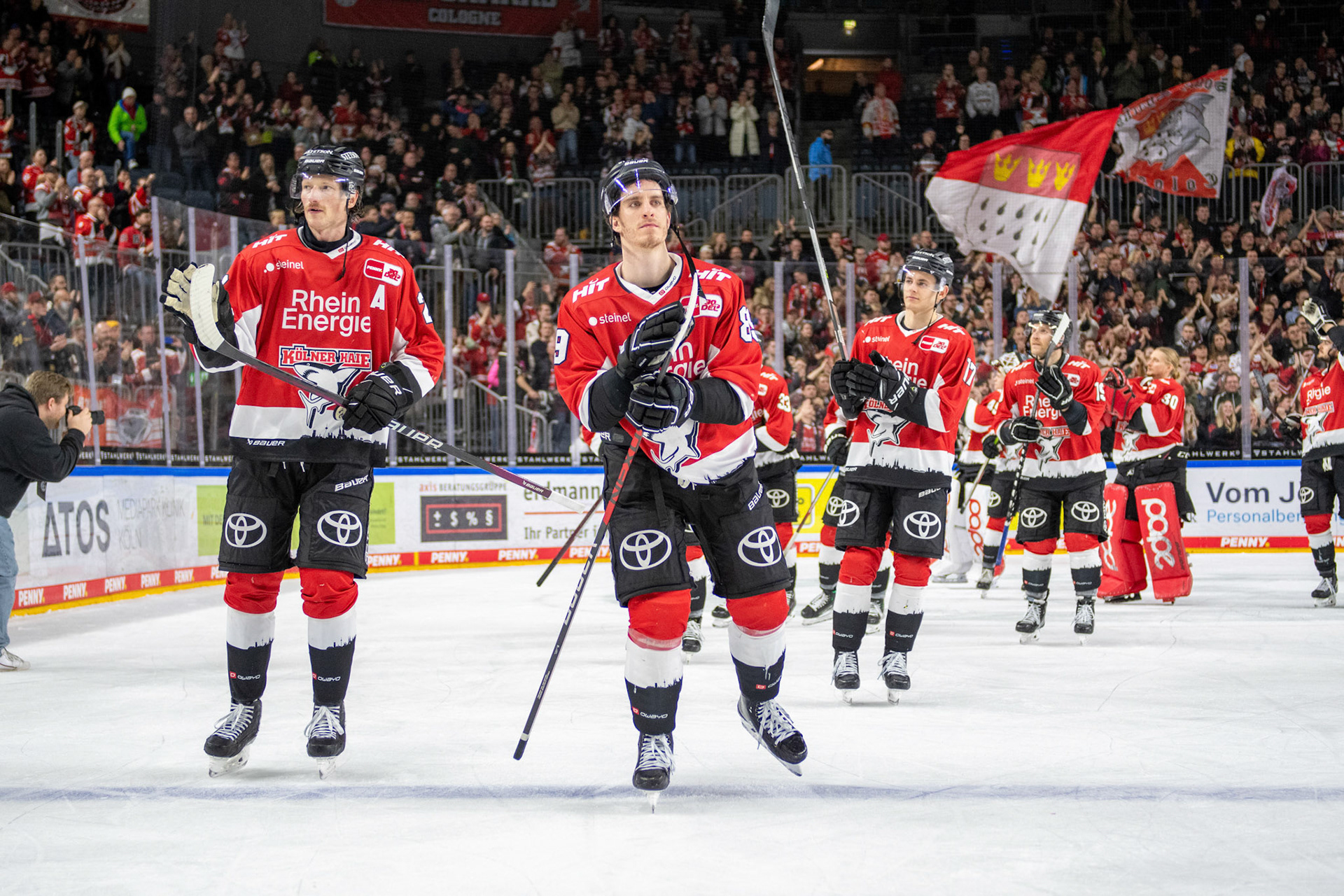 Koelner Haie; DEL Kölner Haie - Augsburger Panther, 19.11.2023