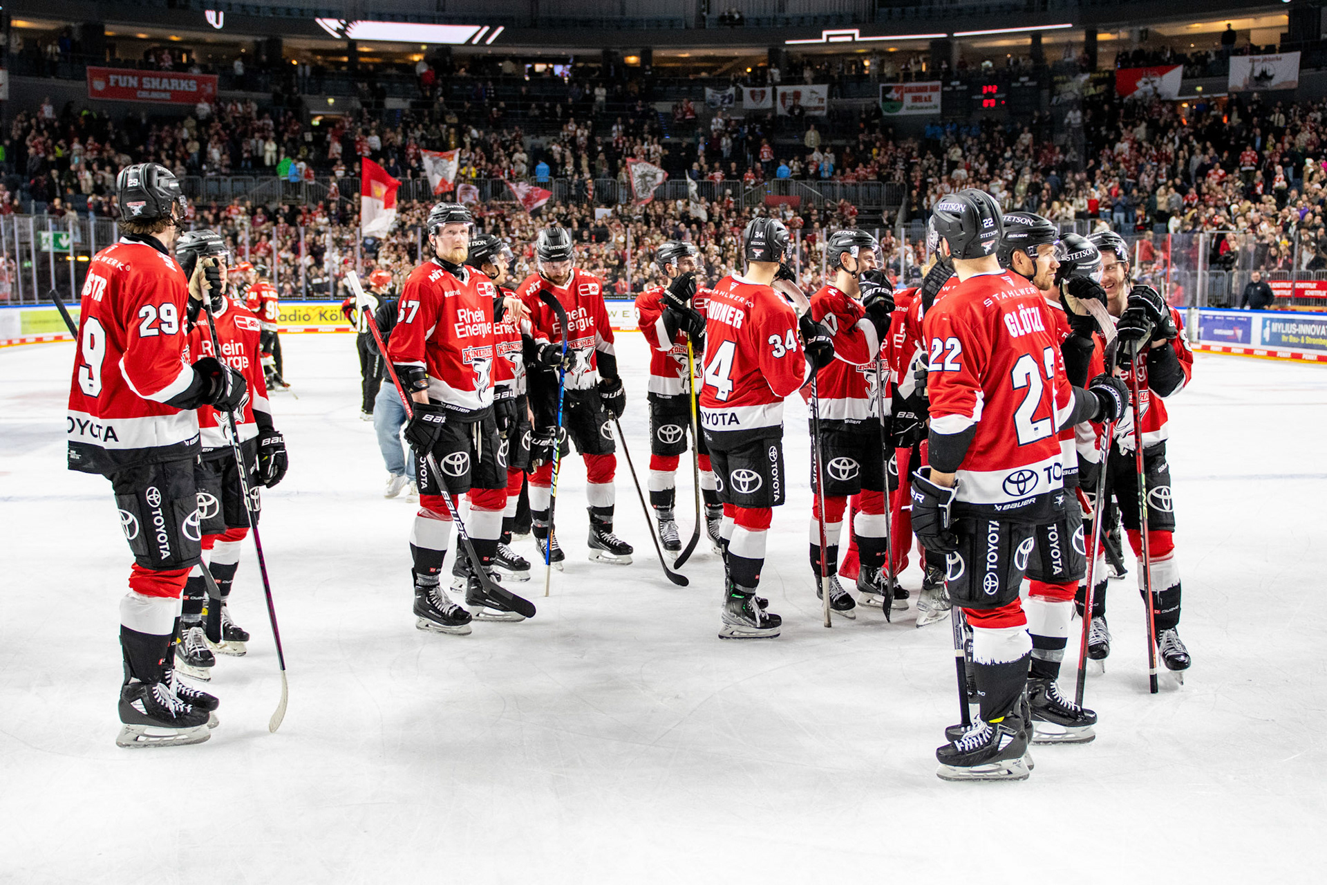 Koelner Haie; DEL Kölner Haie - Augsburger Panther, 19.11.2023