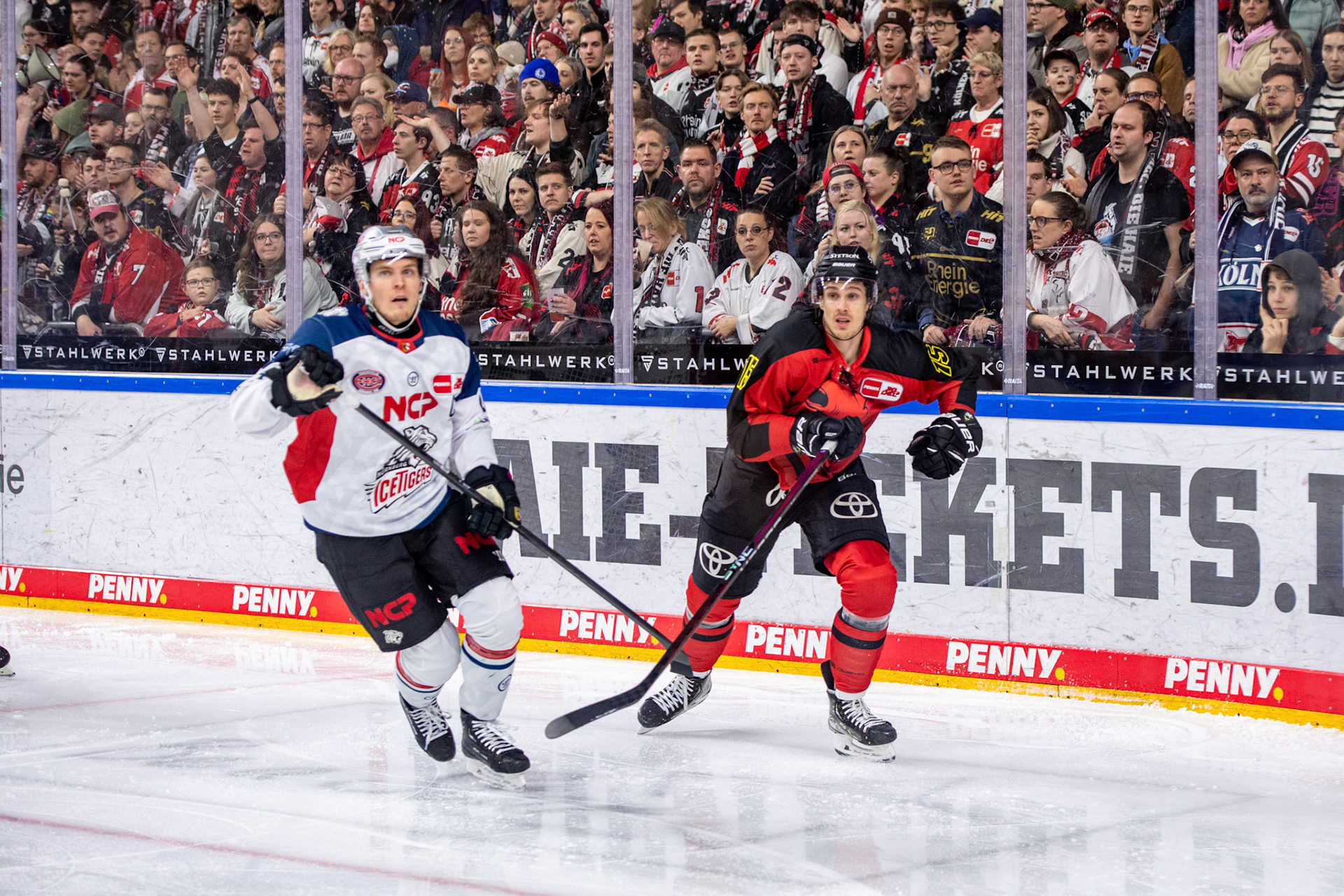 Louis Marc Aubry; DEL Kölner Haie - Nürnberg Ice Tigers, 17.12.2023