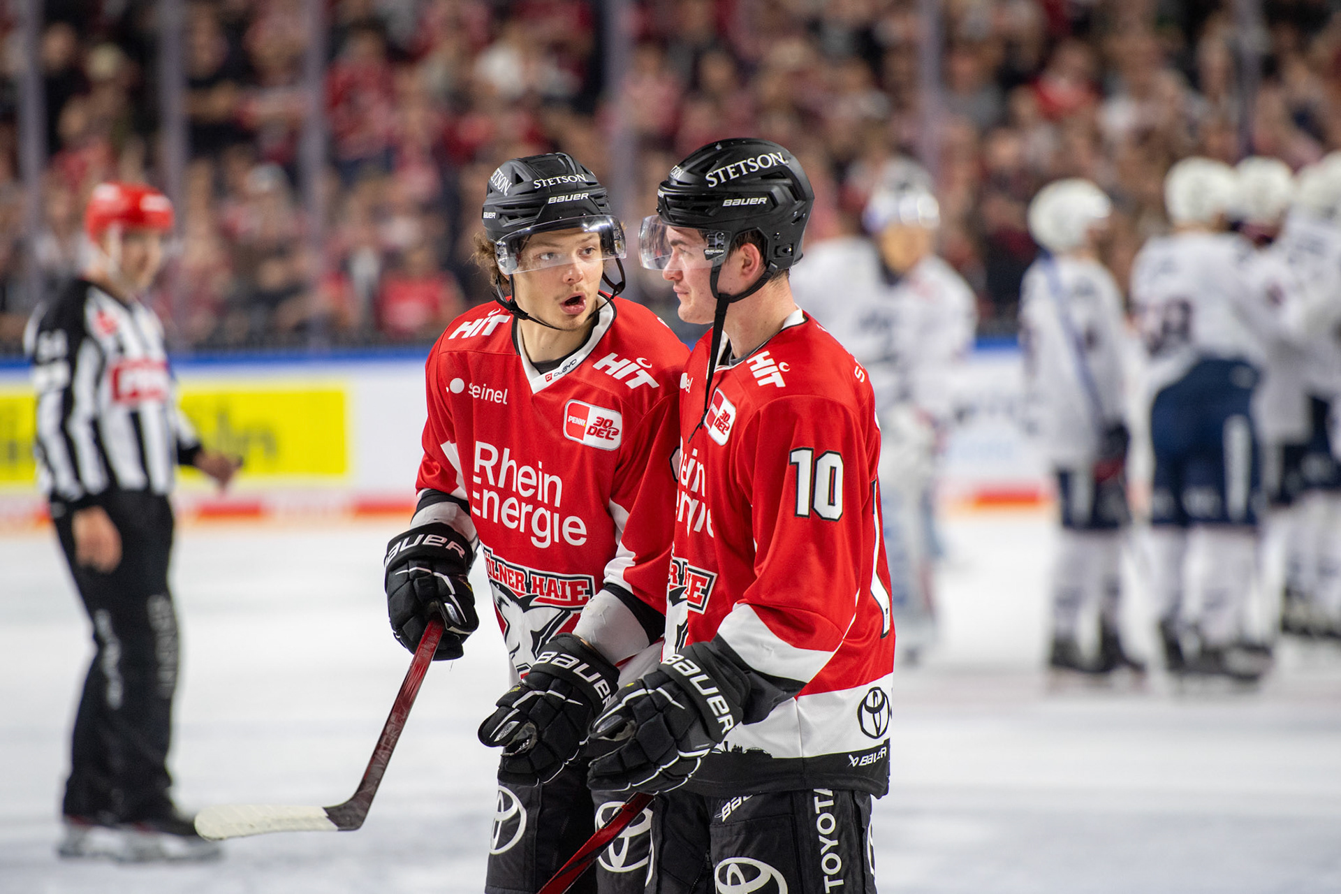Justin Schuetz; DEL Kölner Haie - Adler Mannheim, 30.09.2023