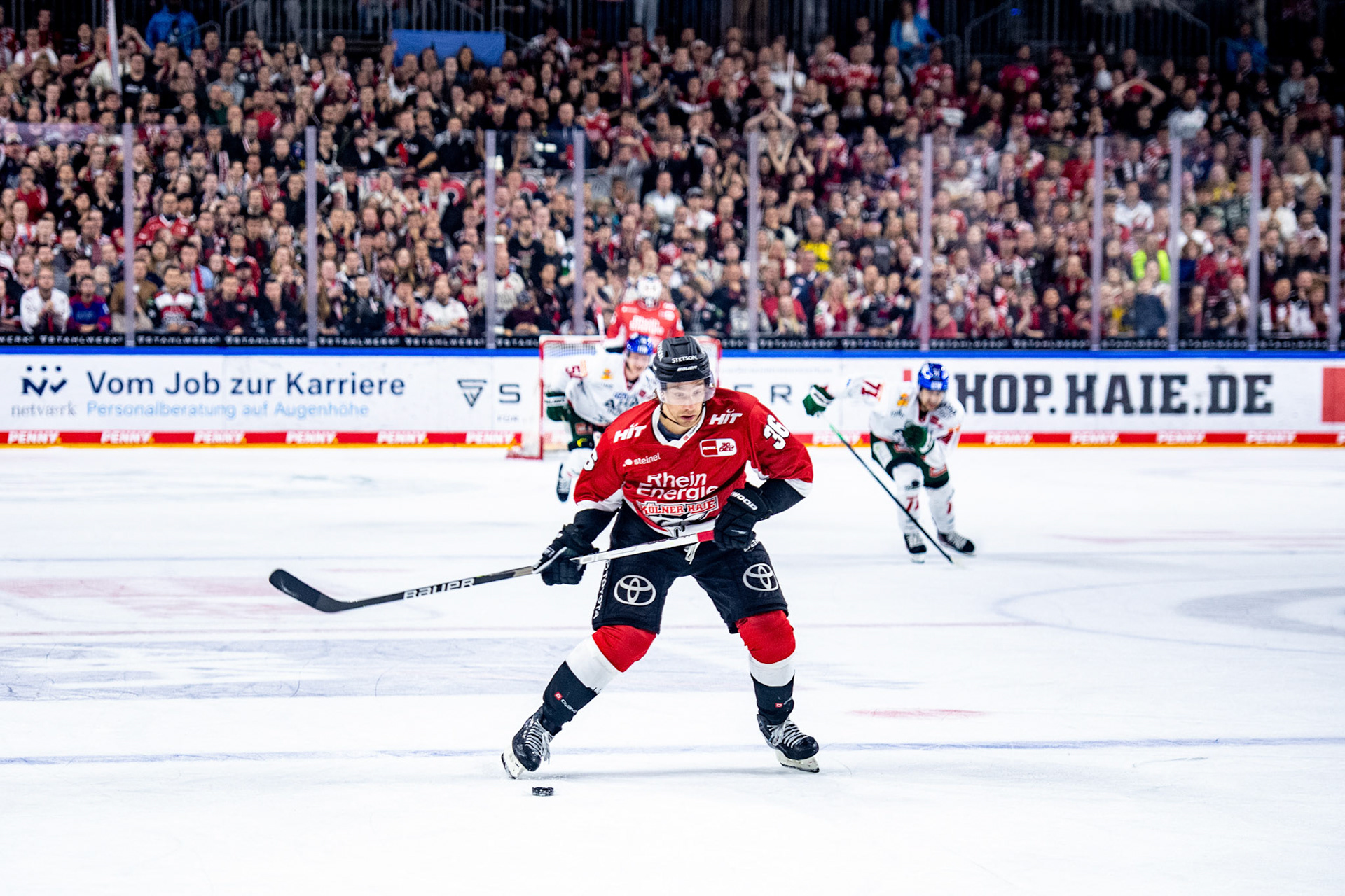 Andreas Thuresson; DEL Kölner Haie - Augsburger Panther, 03.10.2023