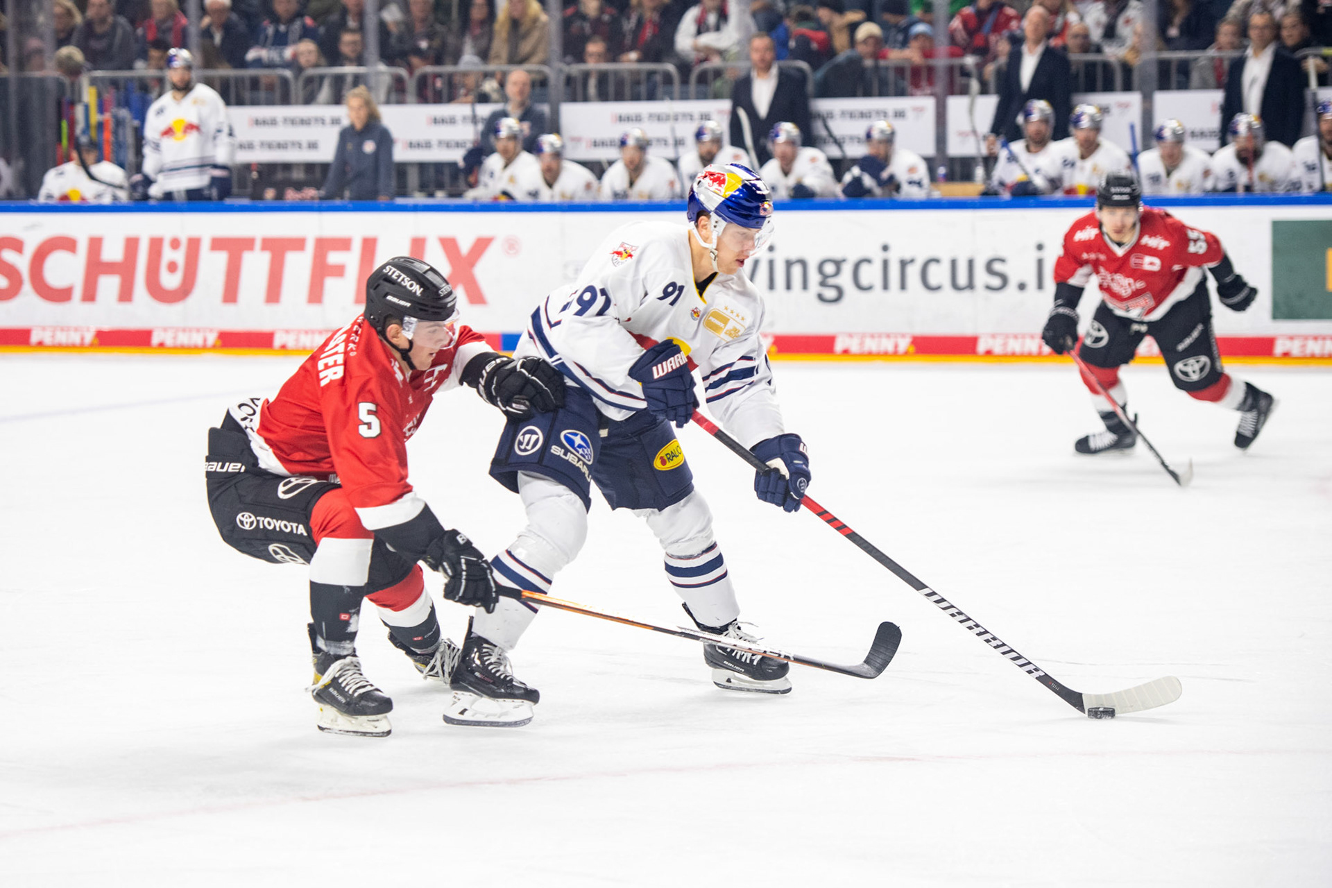 Robin van Calster im Zweikampf; DEL Kölner Haie - EHC Red Bull München, 27.10.2023