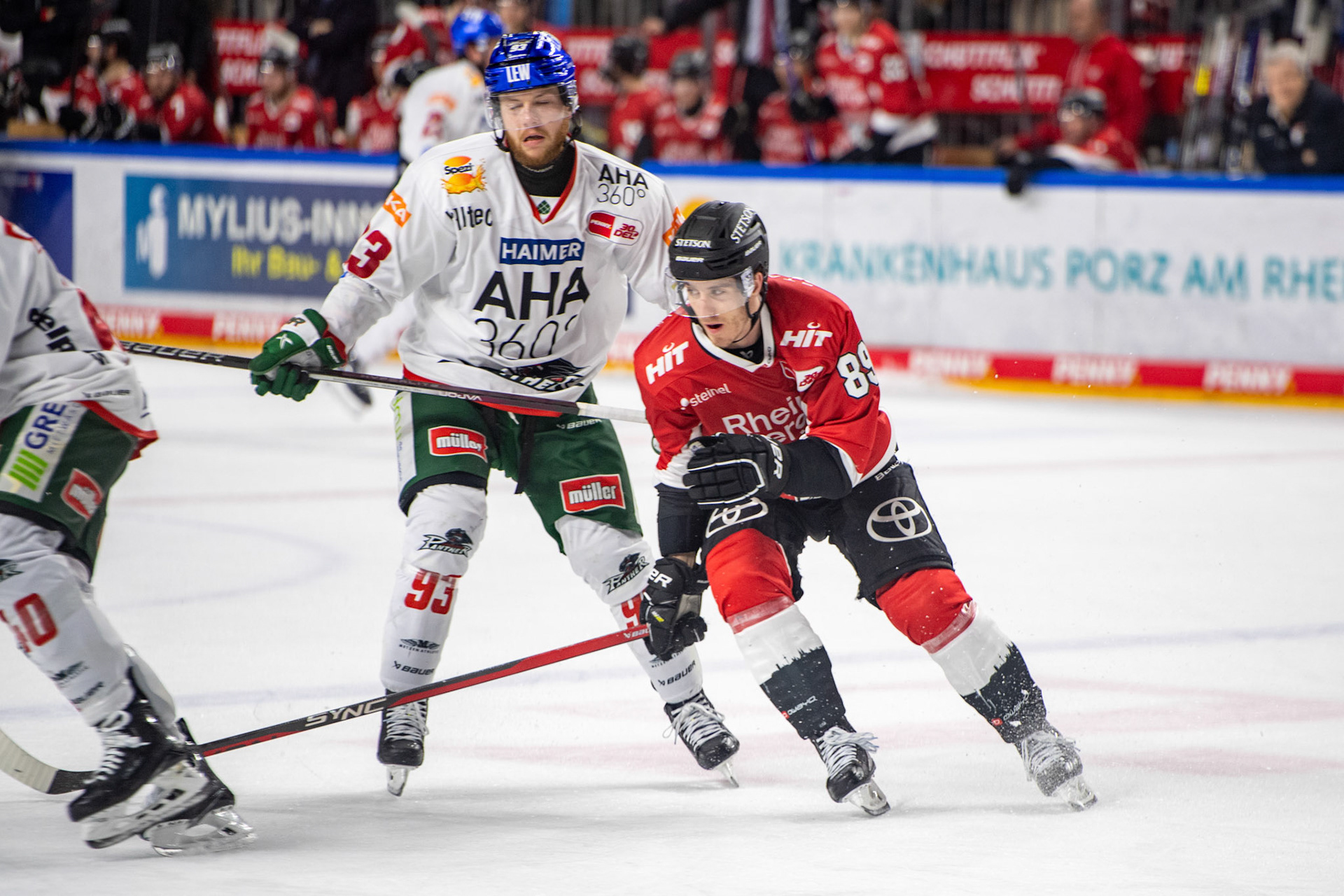 Gregor Macleod; DEL Kölner Haie - Augsburger Panther, 19.11.2023