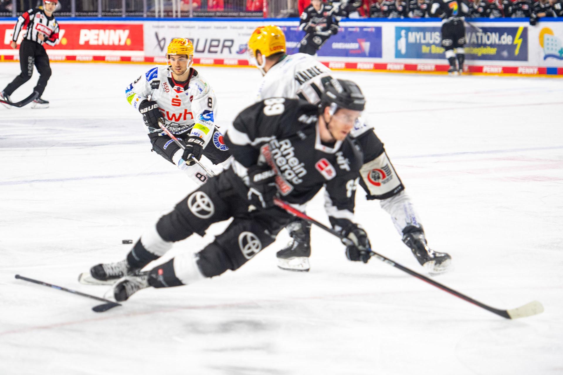 Nini Kinder; DEL Kölner Haie - Bremerhaven Fischtown Pinguins, 01.11.2023