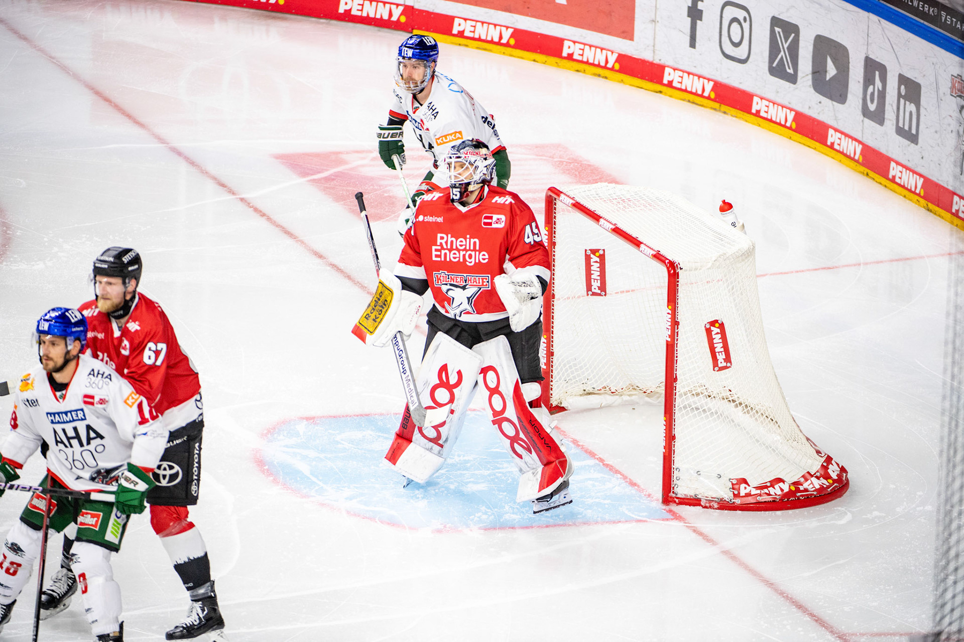 Tobias Ancicka; DEL Kölner Haie - Augsburger Panther, 19.11.2023