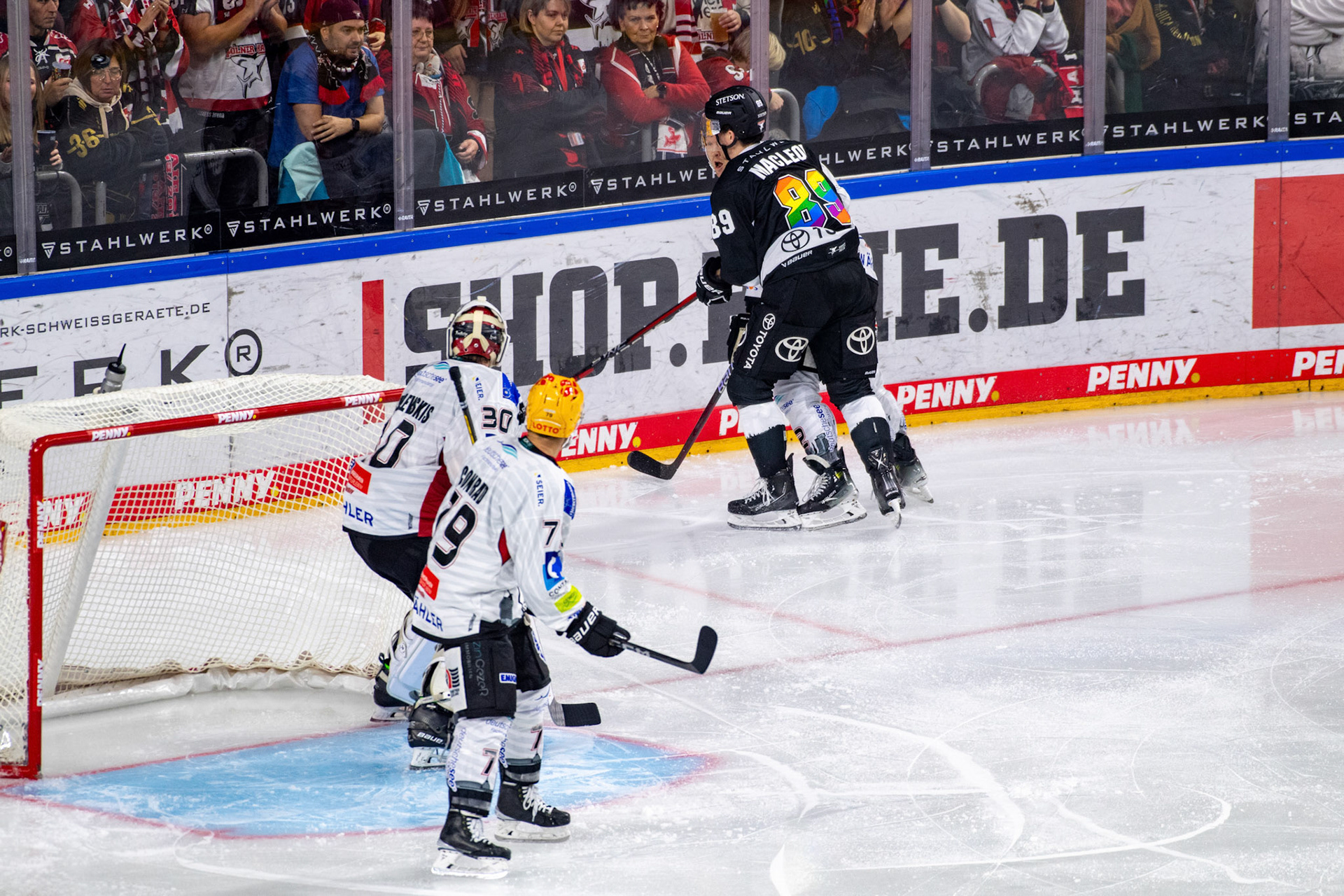 Gregor Macleod; DEL Kölner Haie - Bremerhaven Fischtown Pinguins, 01.11.2023
