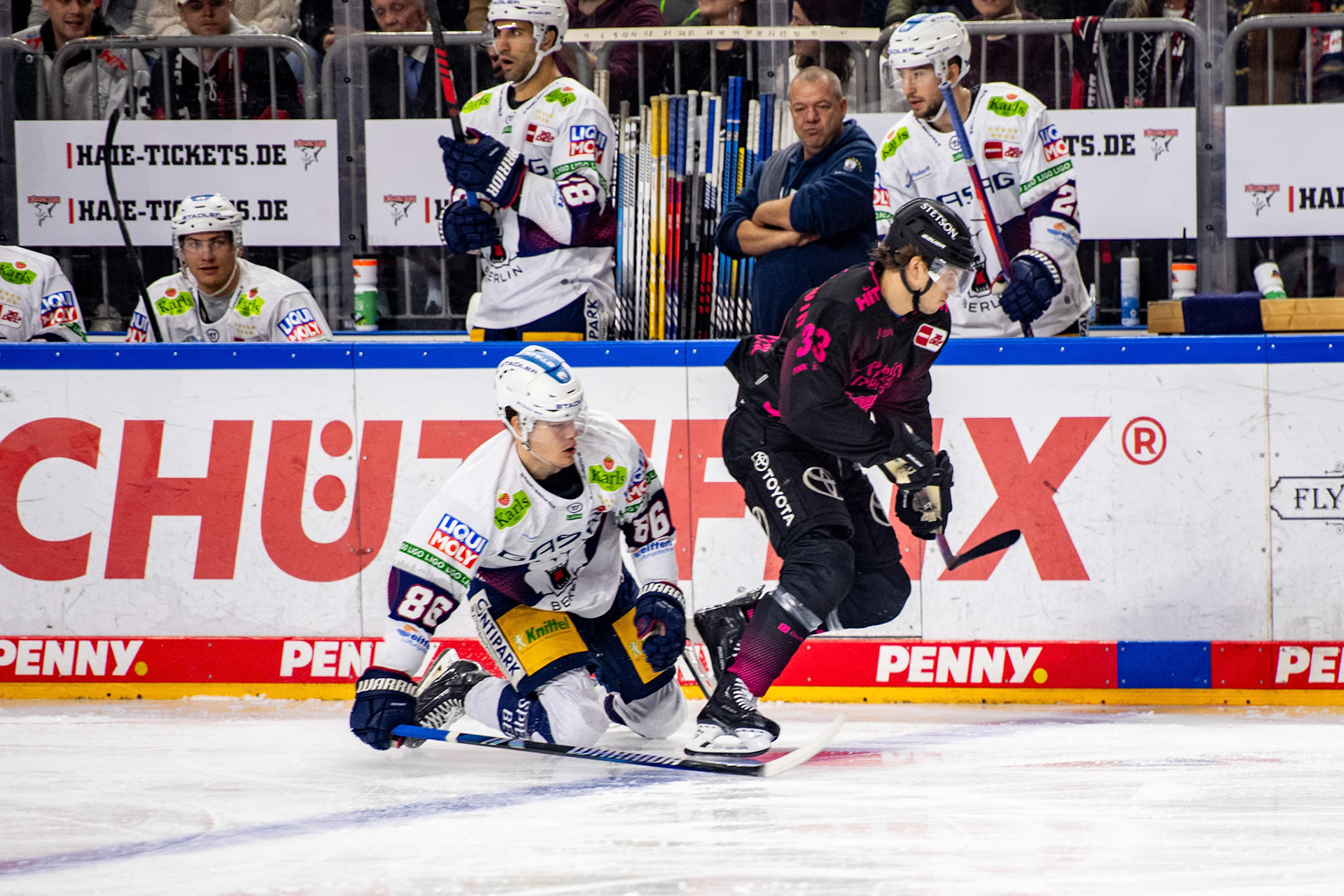 Tim Wohlgemuth und Maximilian Heim im Zweikampf; DEL Kölner Haie - Eisbaeren Berlin, 06.10.2023