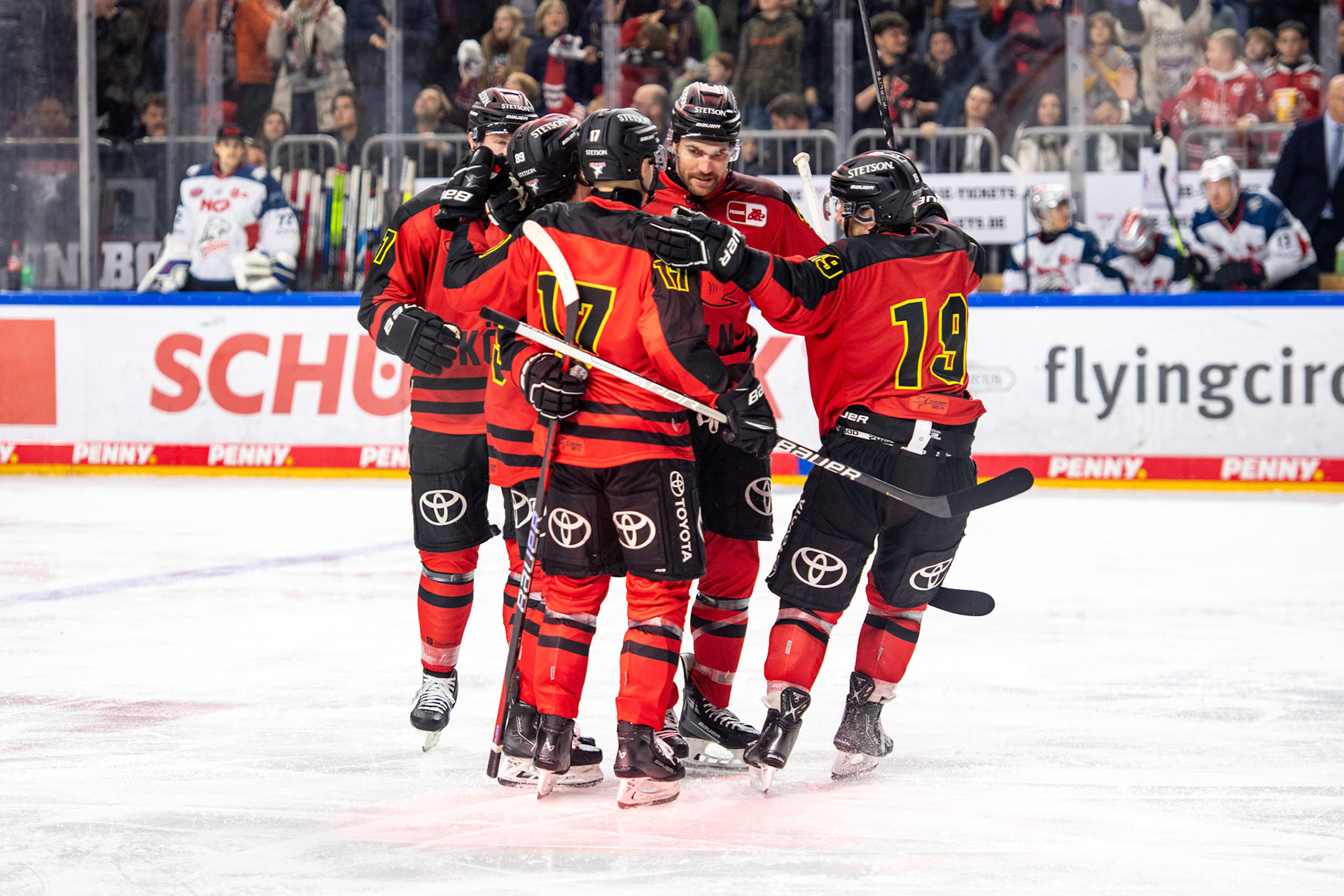 Koelner Haie; DEL Kölner Haie - Nürnberg Ice Tigers, 17.12.2023