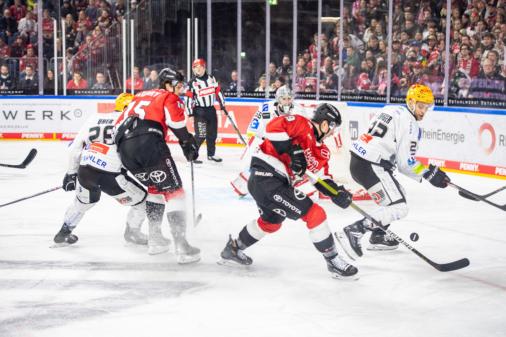 Maximilian Kammerer, Louis Marc Aubry, Dominik Uher, Vladimir Eminger; DEL Kölner Haie - Fishtown Pinguins Bremerhaven, 30.01.2024