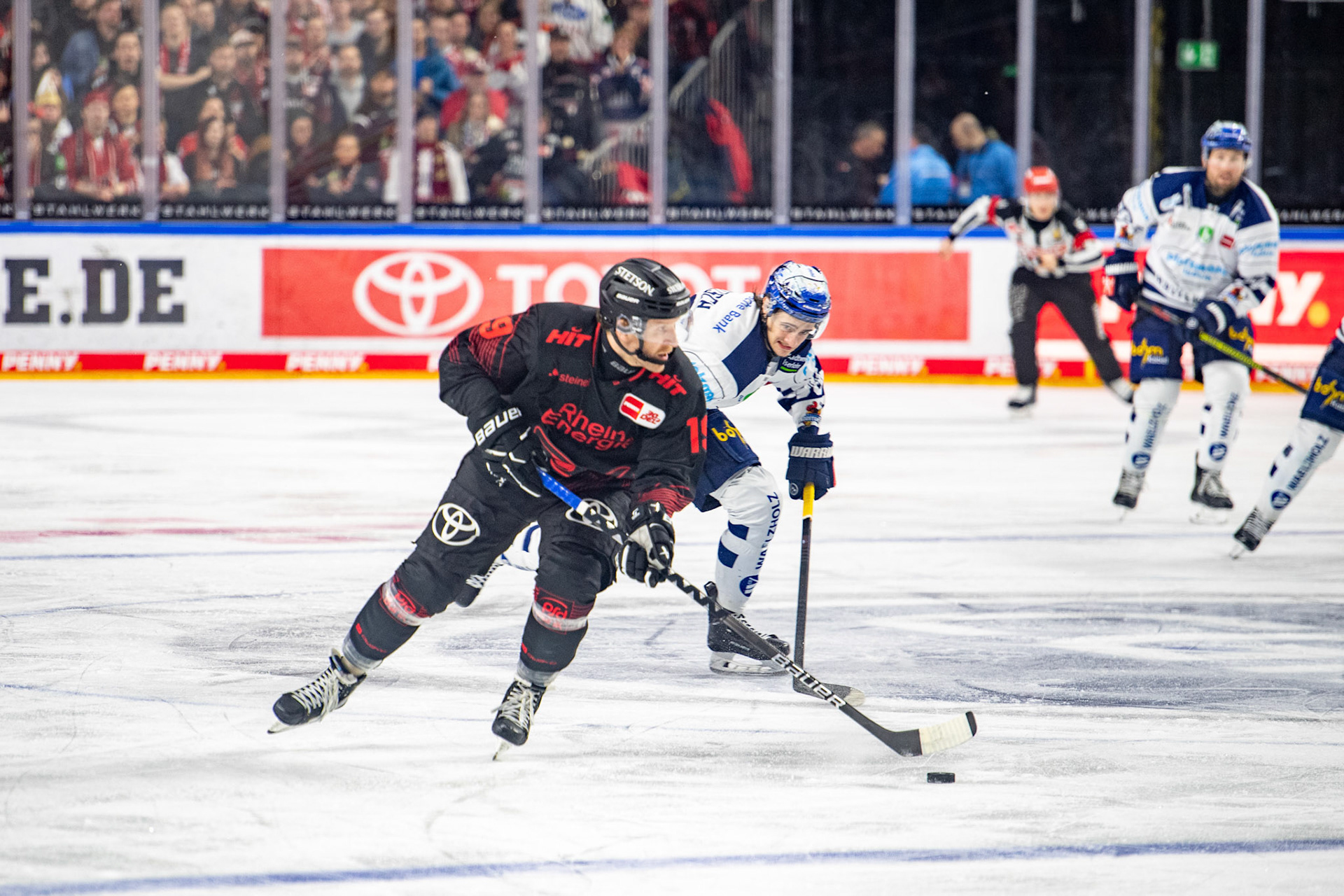 Frederik Storm; DEL Kölner Haie - Iserlohn Roosters, 13.02.2024