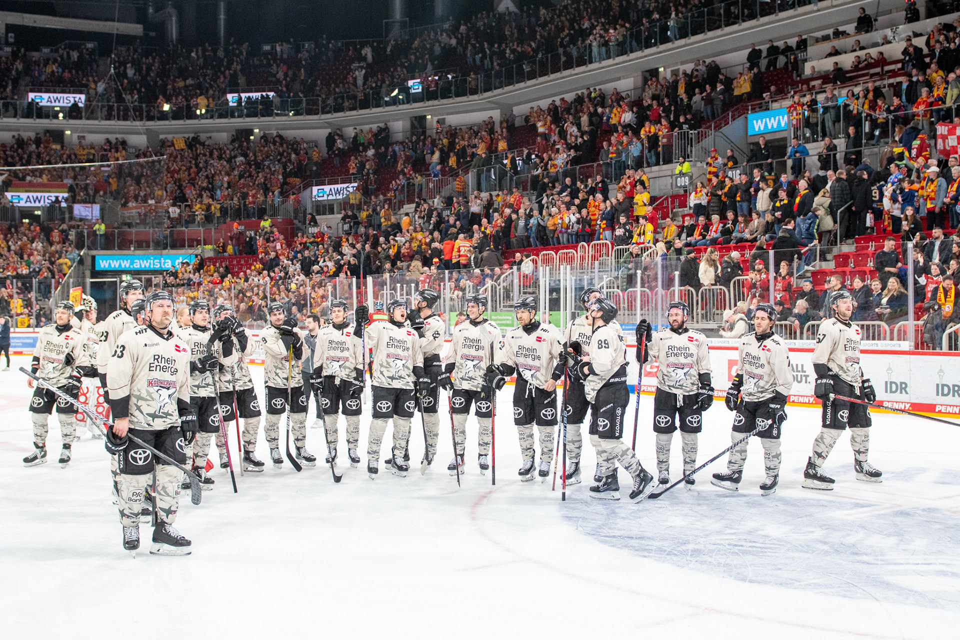 Die Kölner Haie feiern den Sieg gegen die Düsseldorfer EG; DEL Düsseldorfer EG - Kölner Haie, 25.02.2024