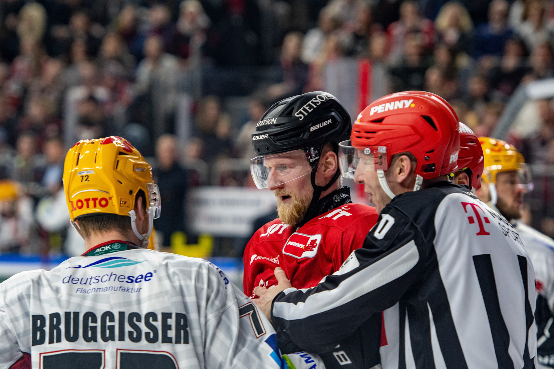 Stanislav Dietz, Phillip Bruggisser; DEL Kölner Haie - Fishtown Pinguins Bremerhaven, 30.01.2024