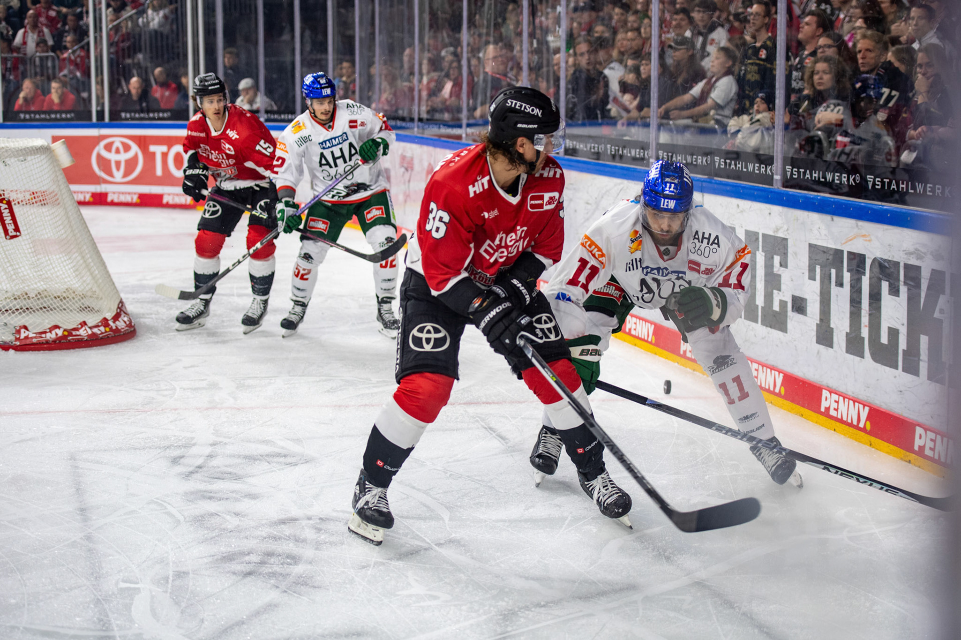 Andreas Thuresson Mick Koehler; DEL Kölner Haie - Augsburger Panther, 03.10.2023