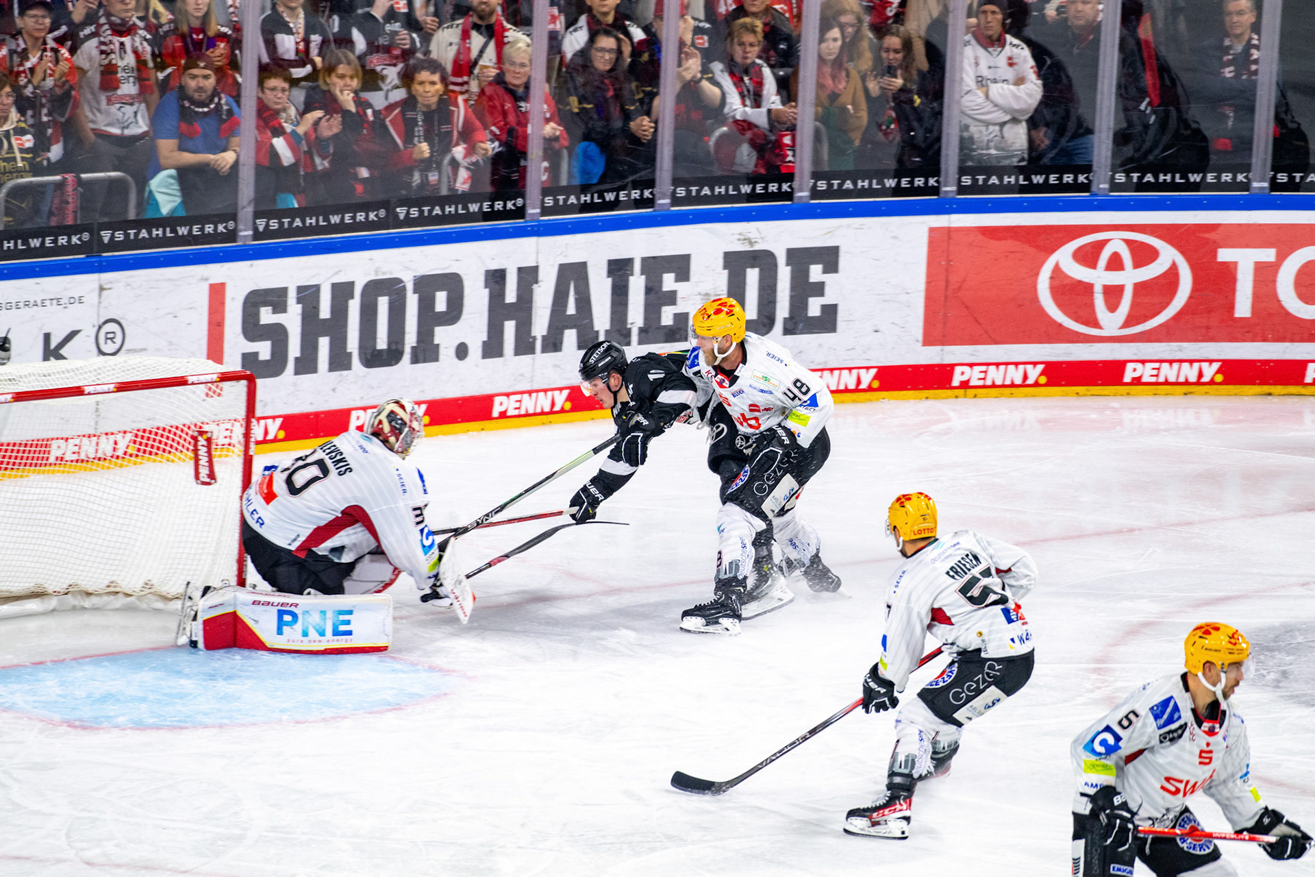 Justin Schuetz; DEL Kölner Haie - Bremerhaven Fischtown Pinguins, 01.11.2023