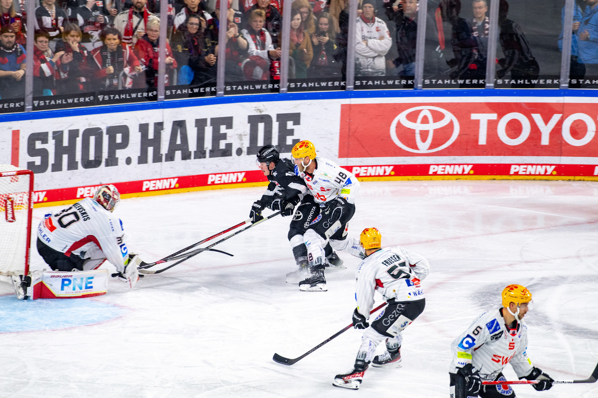 Justin Schuetz; DEL Kölner Haie - Bremerhaven Fischtown Pinguins, 01.11.2023