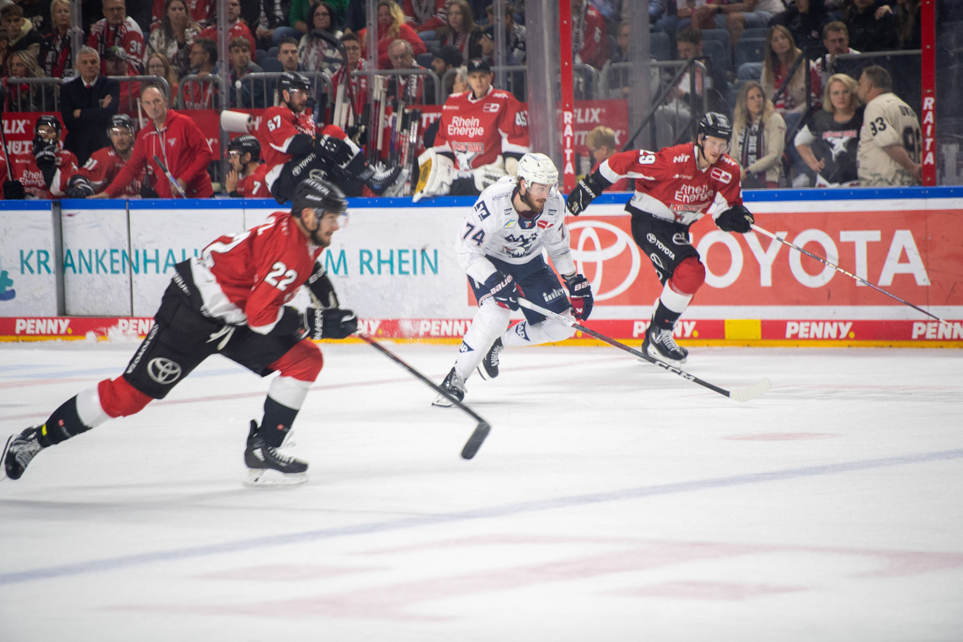 Ryan Macinnis; DEL Kölner Haie - Adler Mannheim, 30.09.2023