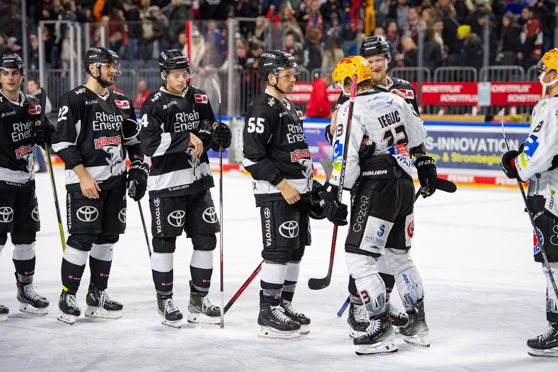 Koelner Haie; DEL Kölner Haie - Bremerhaven Fischtown Pinguins, 01.11.2023