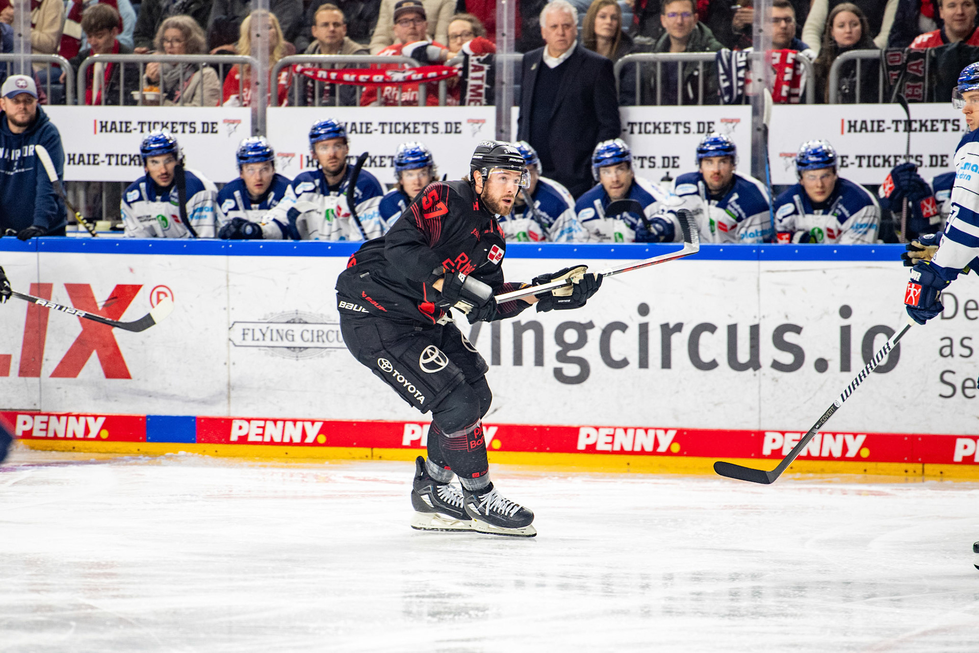 Brady Austin; DEL Kölner Haie - Iserlohn Roosters, 13.02.2024