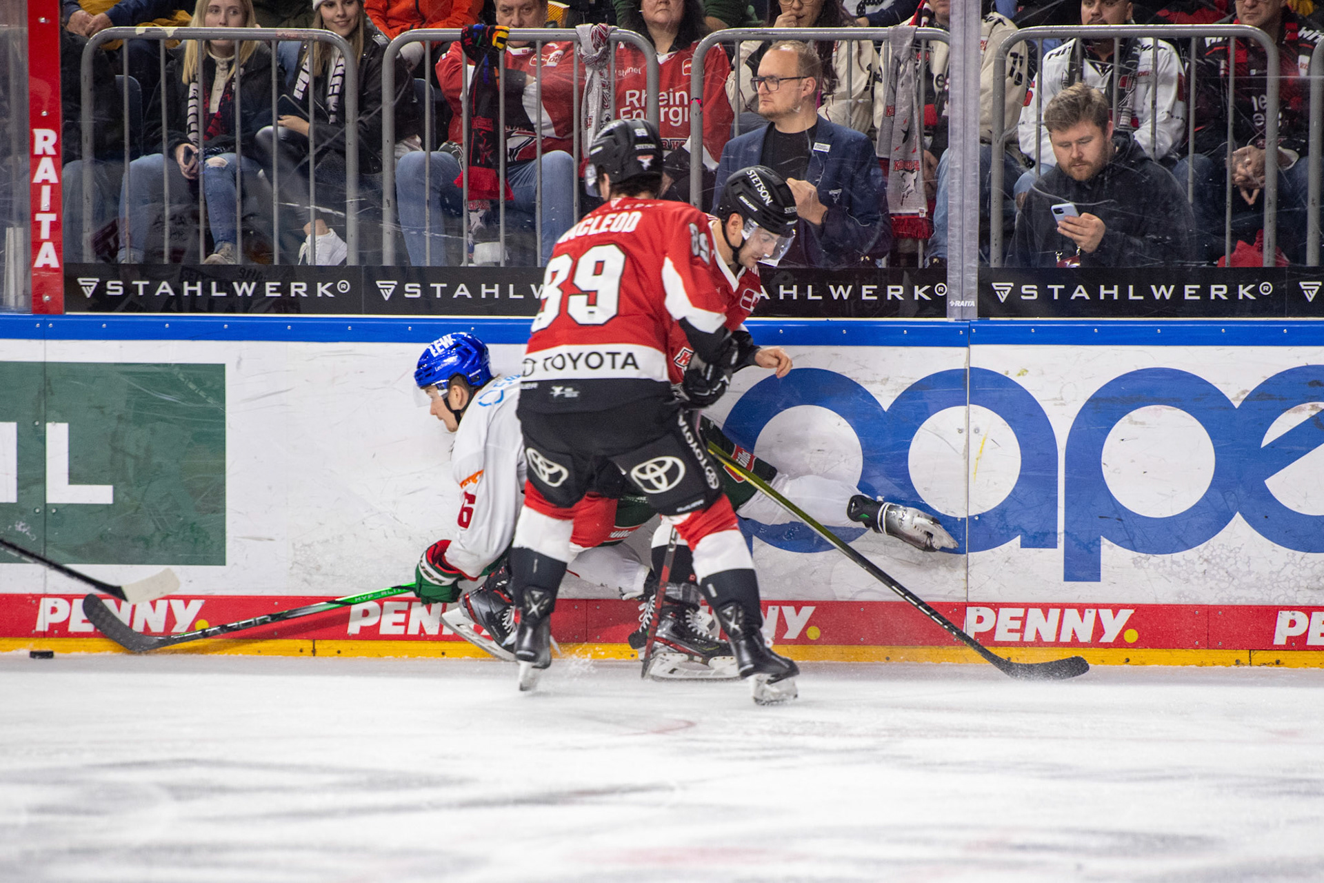 Gregor Macleod; DEL Kölner Haie - Augsburger Panther, 19.11.2023
