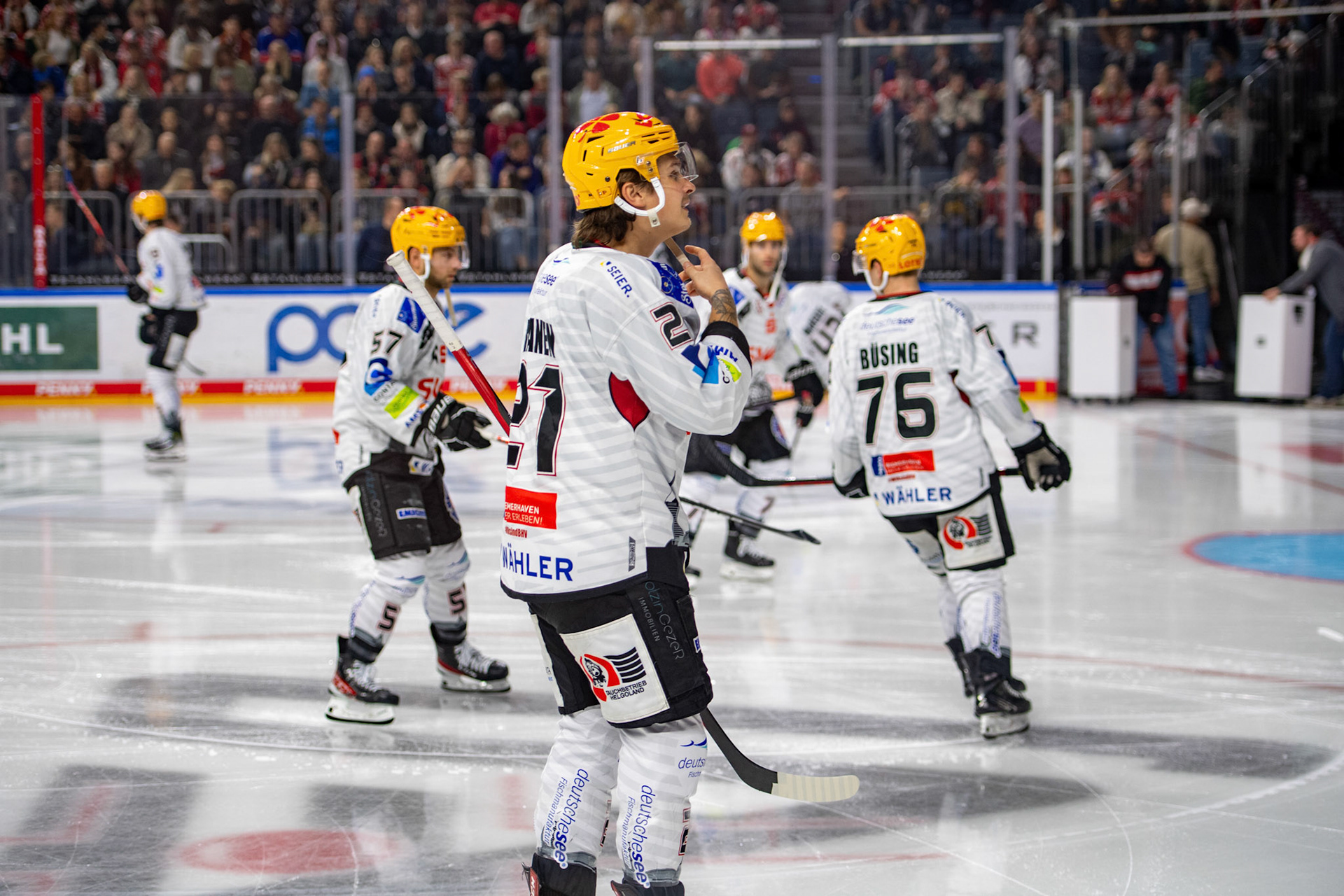 Bremerhaven Fischtown Pinguins; DEL Kölner Haie - Bremerhaven Fischtown Pinguins, 01.11.2023