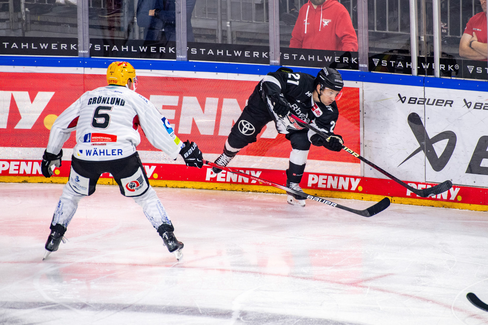 Marc Olver; DEL Kölner Haie - Bremerhaven Fischtown Pinguins, 01.11.2023
