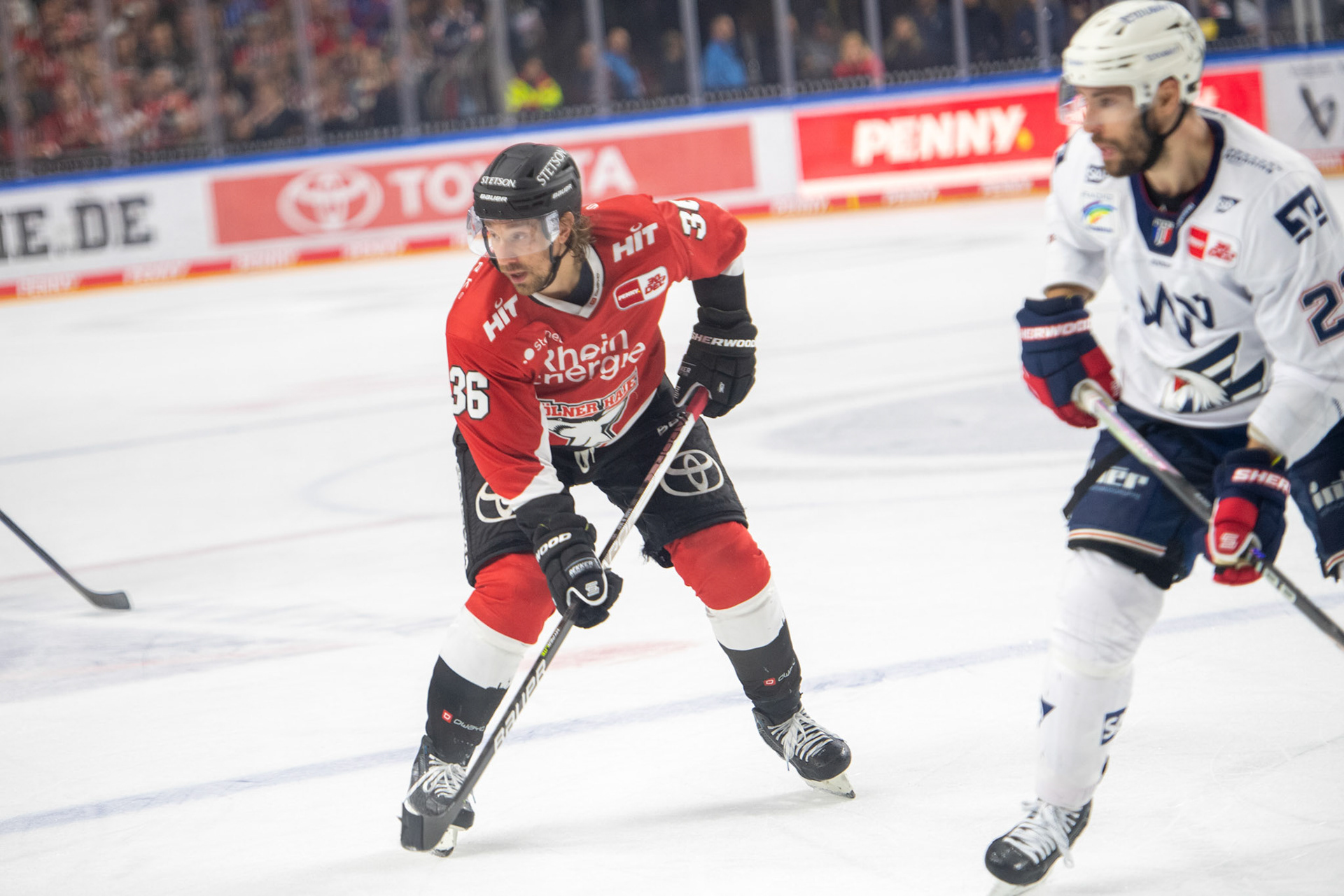 Andreas Thuresson; DEL Kölner Haie - Adler Mannheim, 30.09.2023