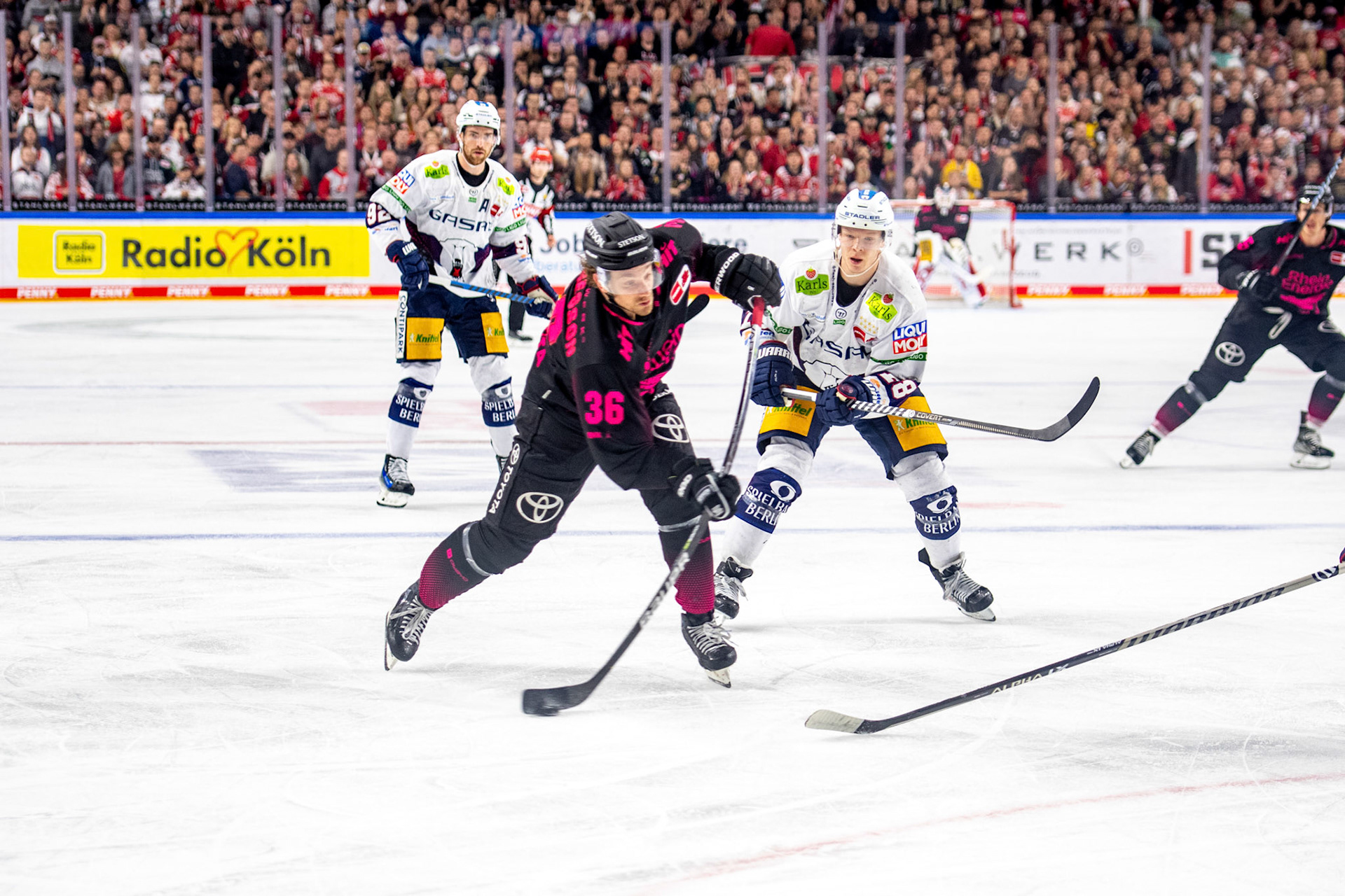 Andreas Thuresson; DEL Kölner Haie - Eisbaeren Berlin, 06.10.2023