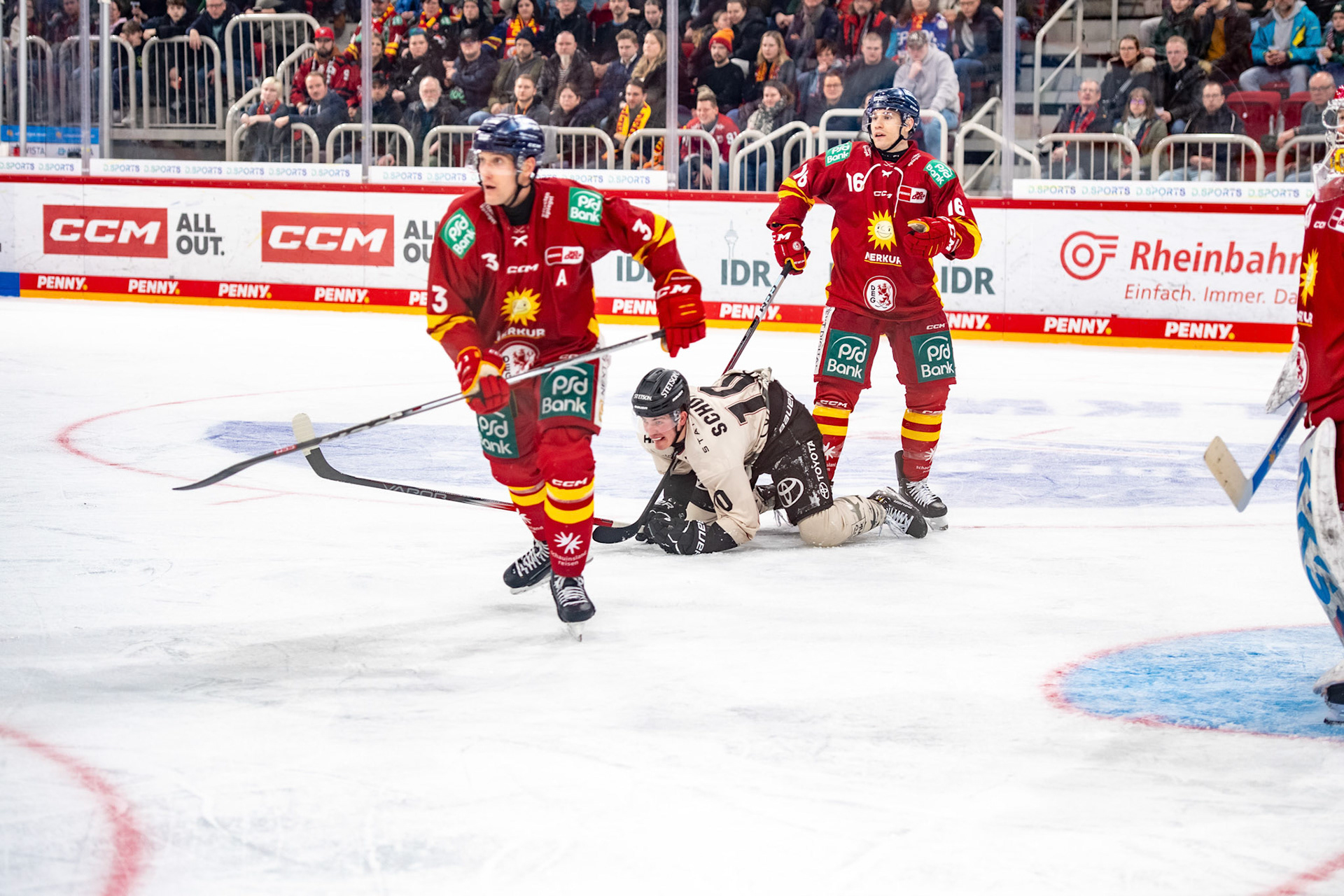Justin Schütz geht zu Boden.; DEL Düsseldorfer EG - Kölner Haie, 25.02.2024
