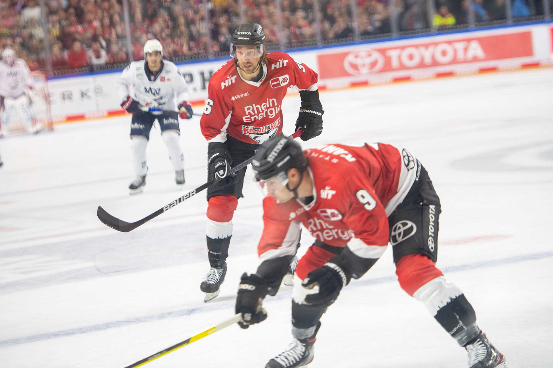 Andreas Thuresson; DEL Kölner Haie - Adler Mannheim, 30.09.2023
