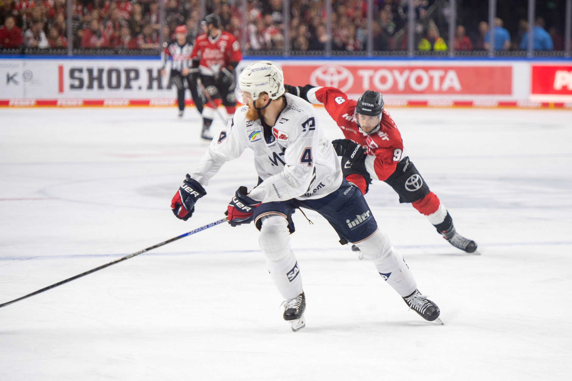 Korbinian Holzer; DEL Kölner Haie - Adler Mannheim, 30.09.2023