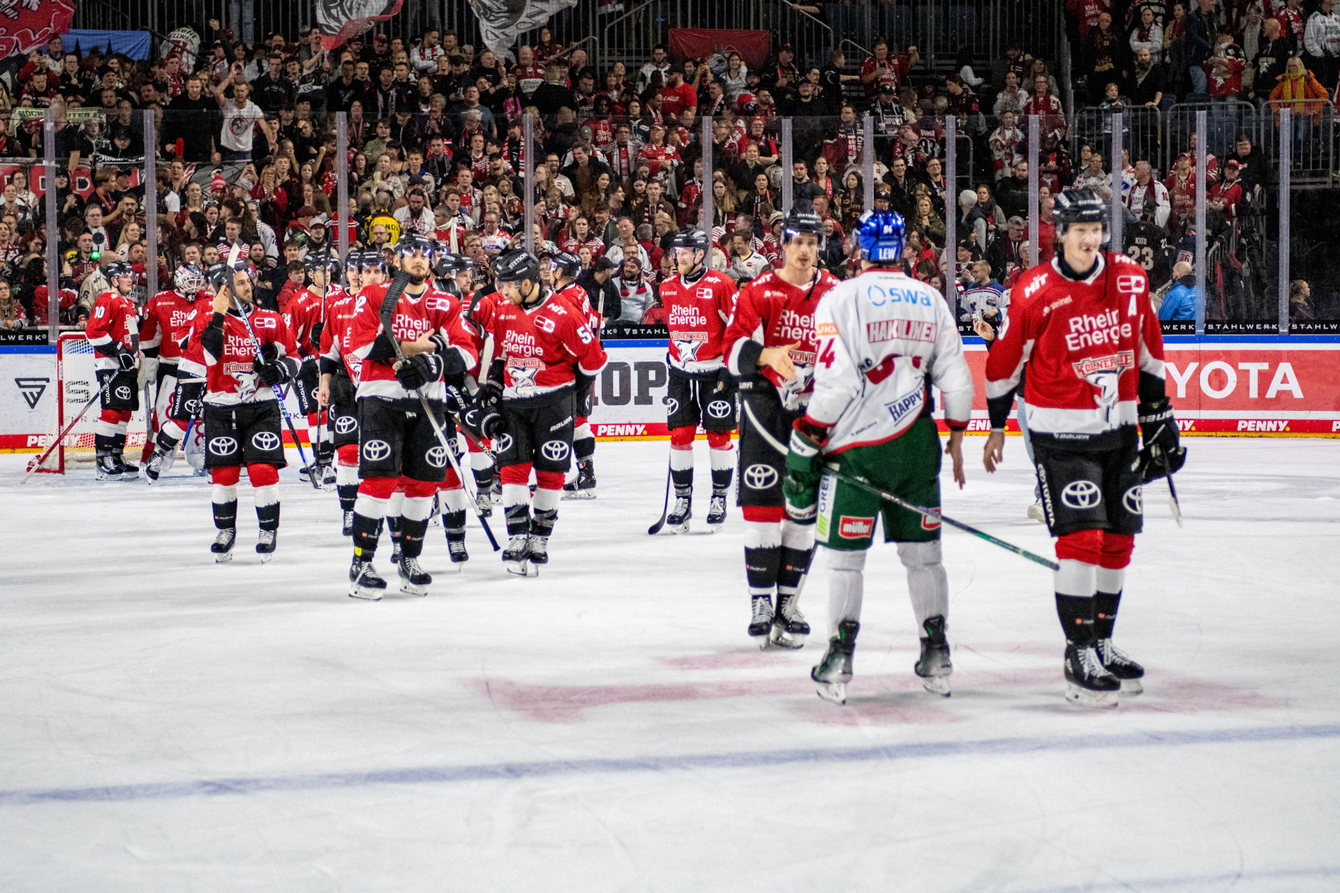 Koelner Haie; DEL Kölner Haie - Augsburger Panther, 19.11.2023