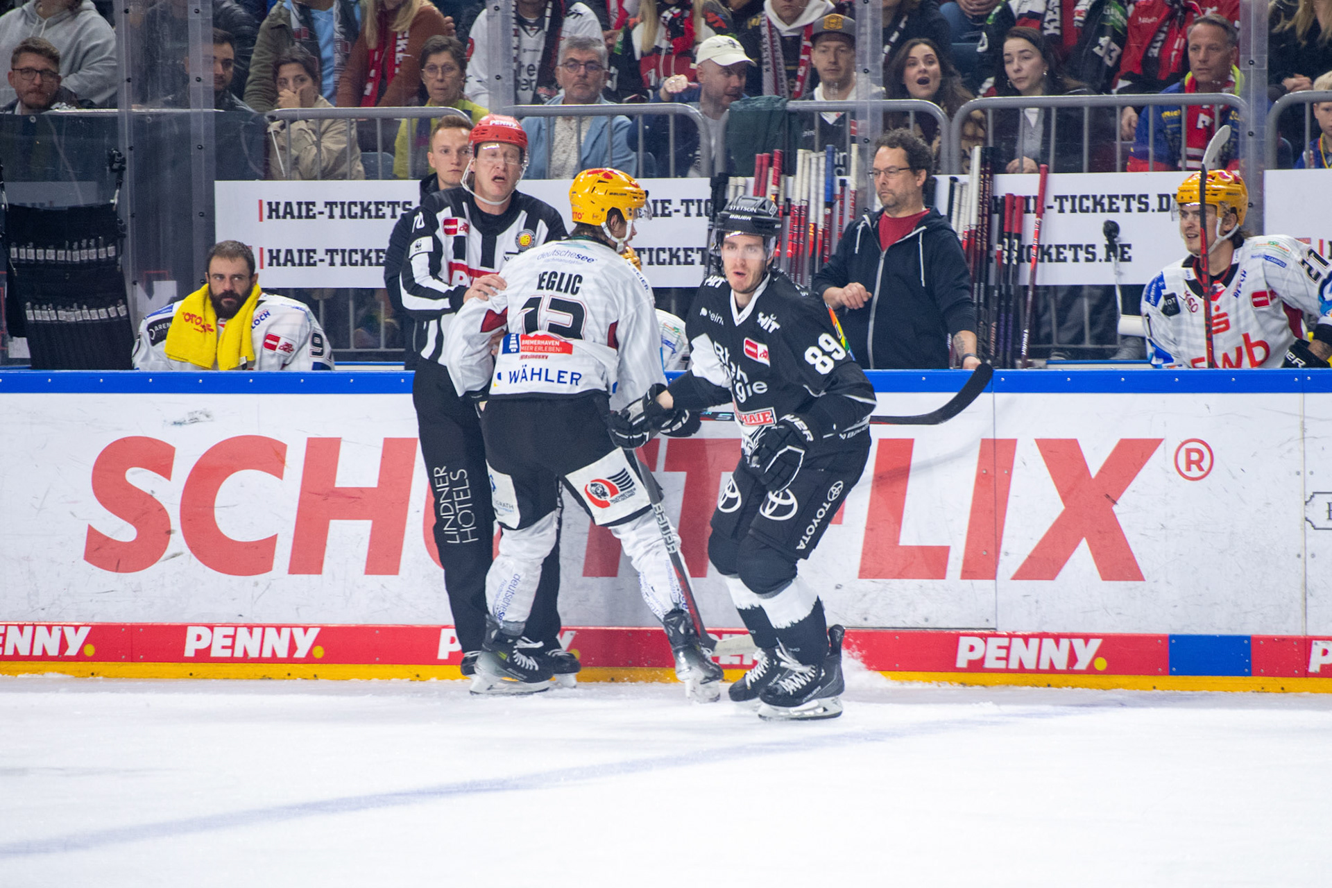 Ziga Jeglic im Zweikampf mit Gregor Macleod; DEL Kölner Haie - Bremerhaven Fischtown Pinguins, 01.11.2023