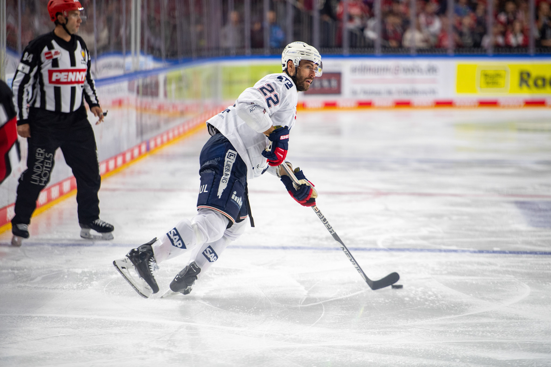 Matthias Plachta; DEL Kölner Haie - Adler Mannheim, 30.09.2023