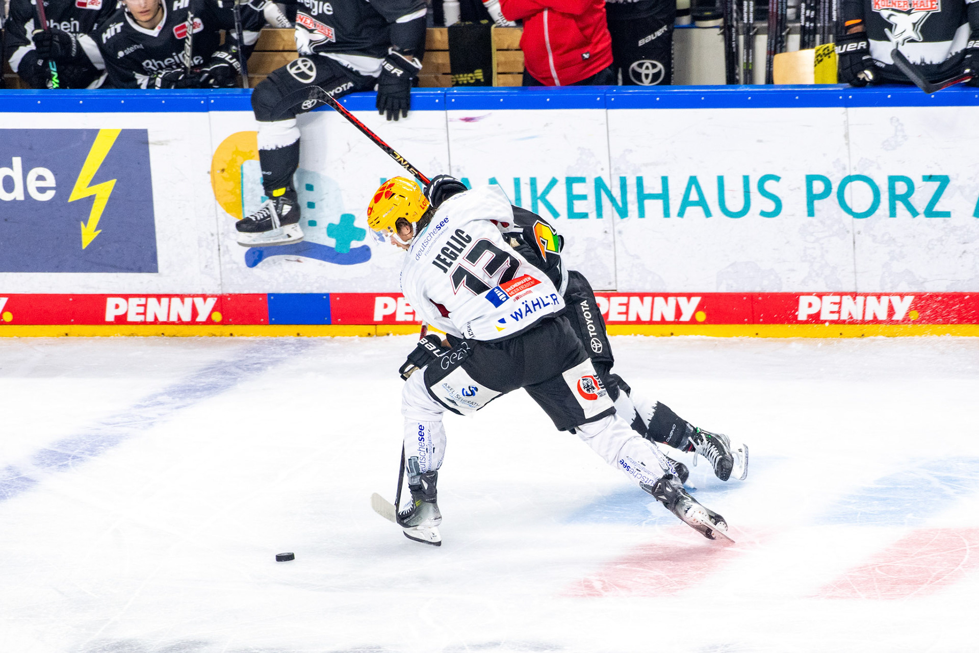 Ziga Jeglic; DEL Kölner Haie - Bremerhaven Fischtown Pinguins, 01.11.2023