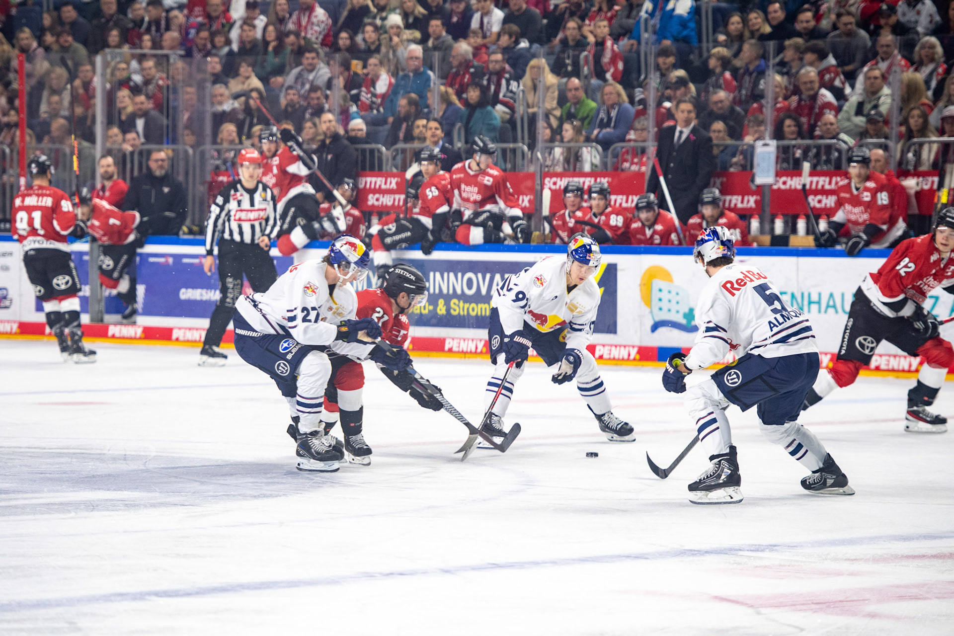 Marc Olver; DEL Kölner Haie - EHC Red Bull München, 27.10.2023