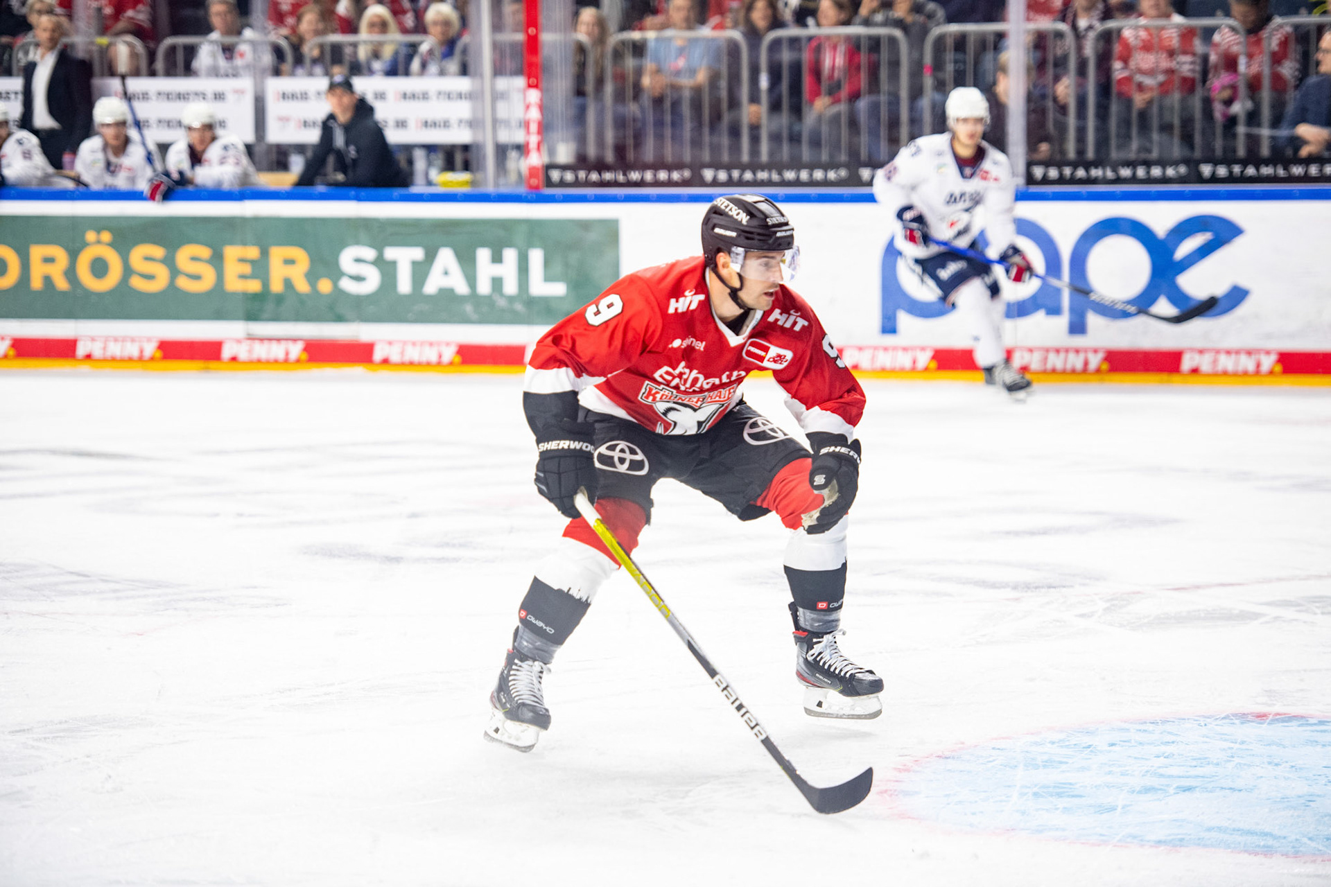 Maximilian Kammerer; DEL Kölner Haie - Adler Mannheim, 30.09.2023