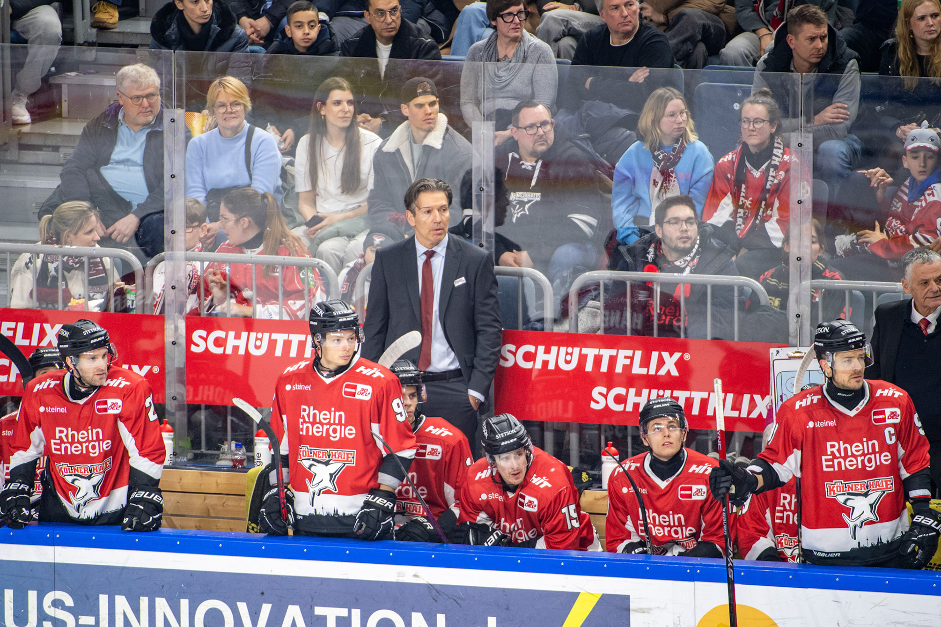 Uwe Krupp, Headcoach der Kölner Haie; DEL Kölner Haie - Frankfurter Löwen, 16.02.2024